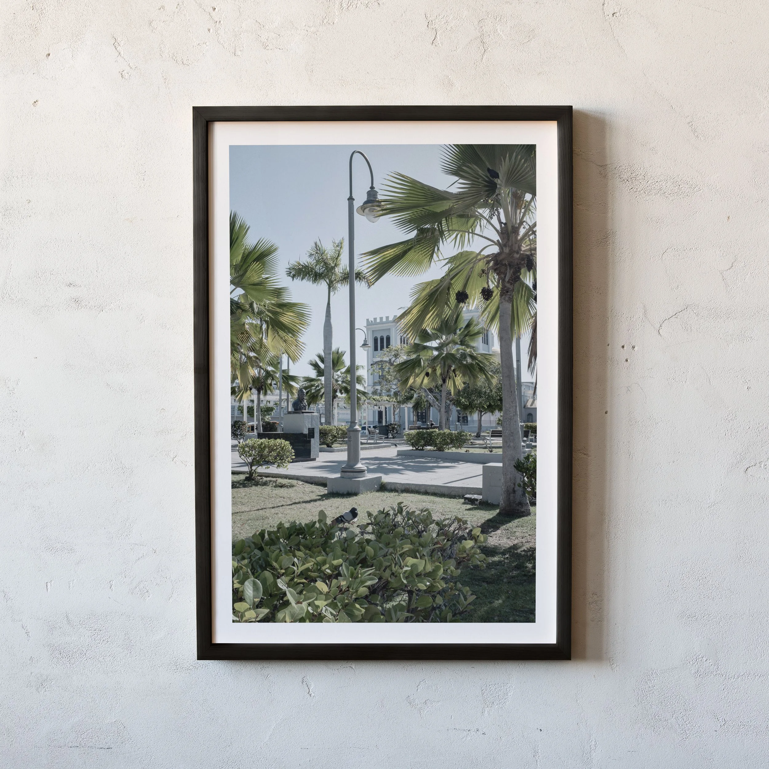 Island Morning_1.jpg