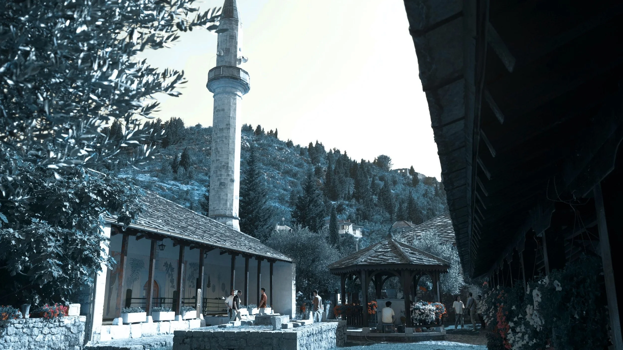 Pgoram 4 second image