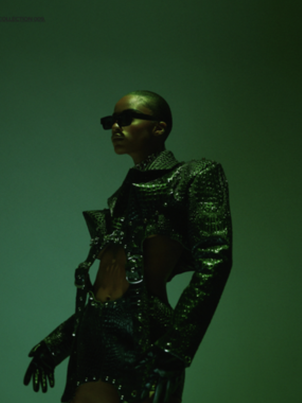 Maison Vivante: Crafting Elegance, Sustainability, &amp; Legacy (Copy)