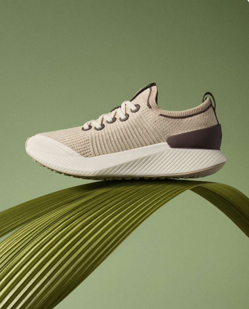 Allbirds 