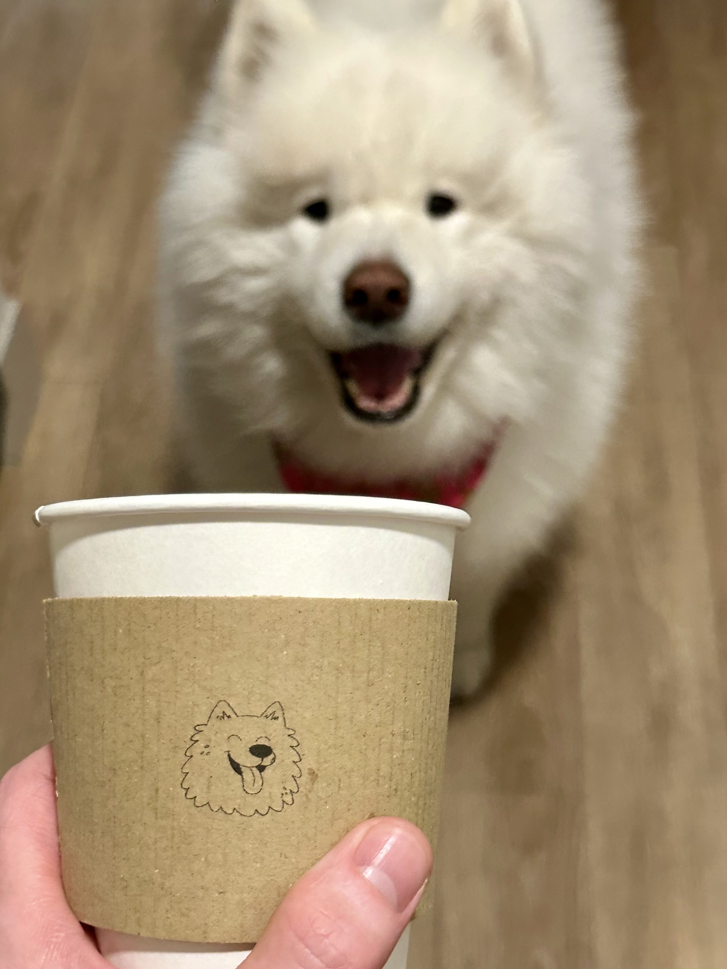 Coffee cart catering in Dallas Fort Worth (DFW) with professional baristas