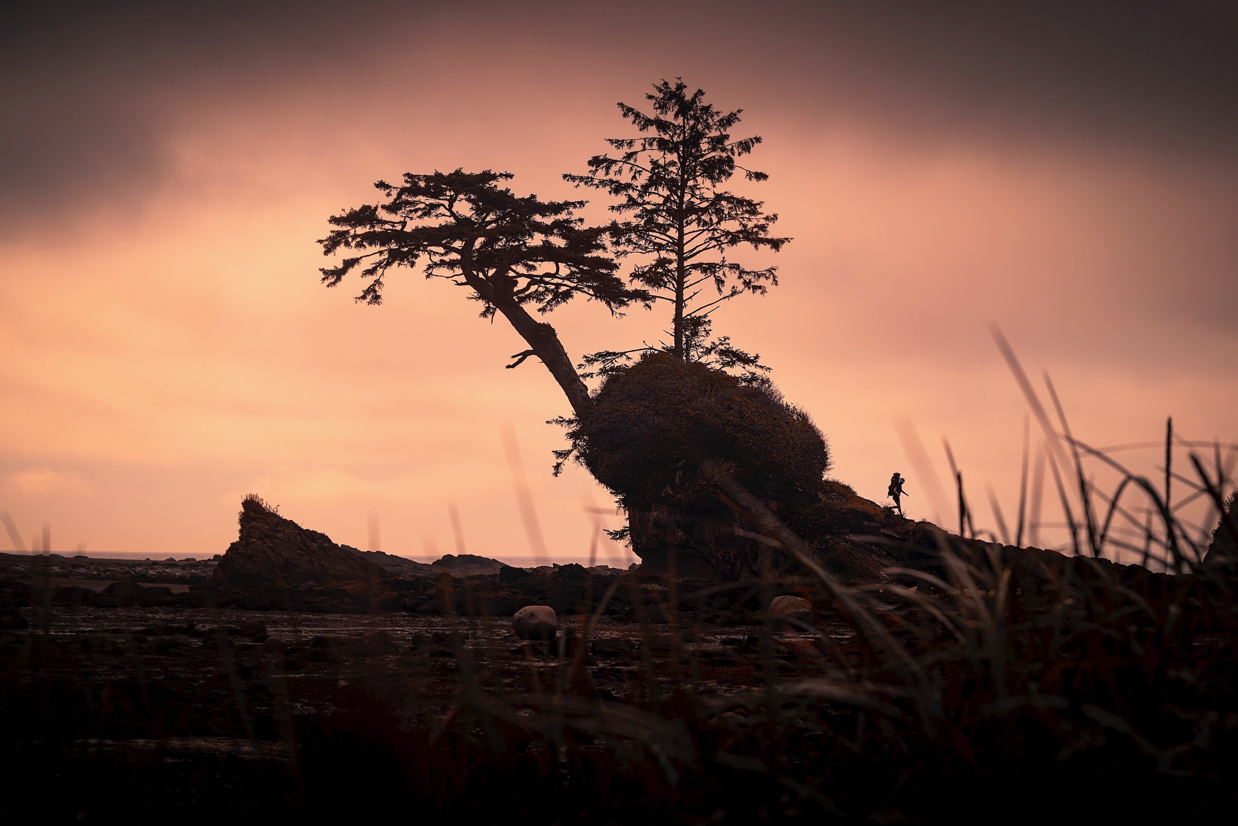 Silhouette of a rock formation with a twisted tree and a person hiking, against a pink and purple sunset sky, with grasses in the foreground.