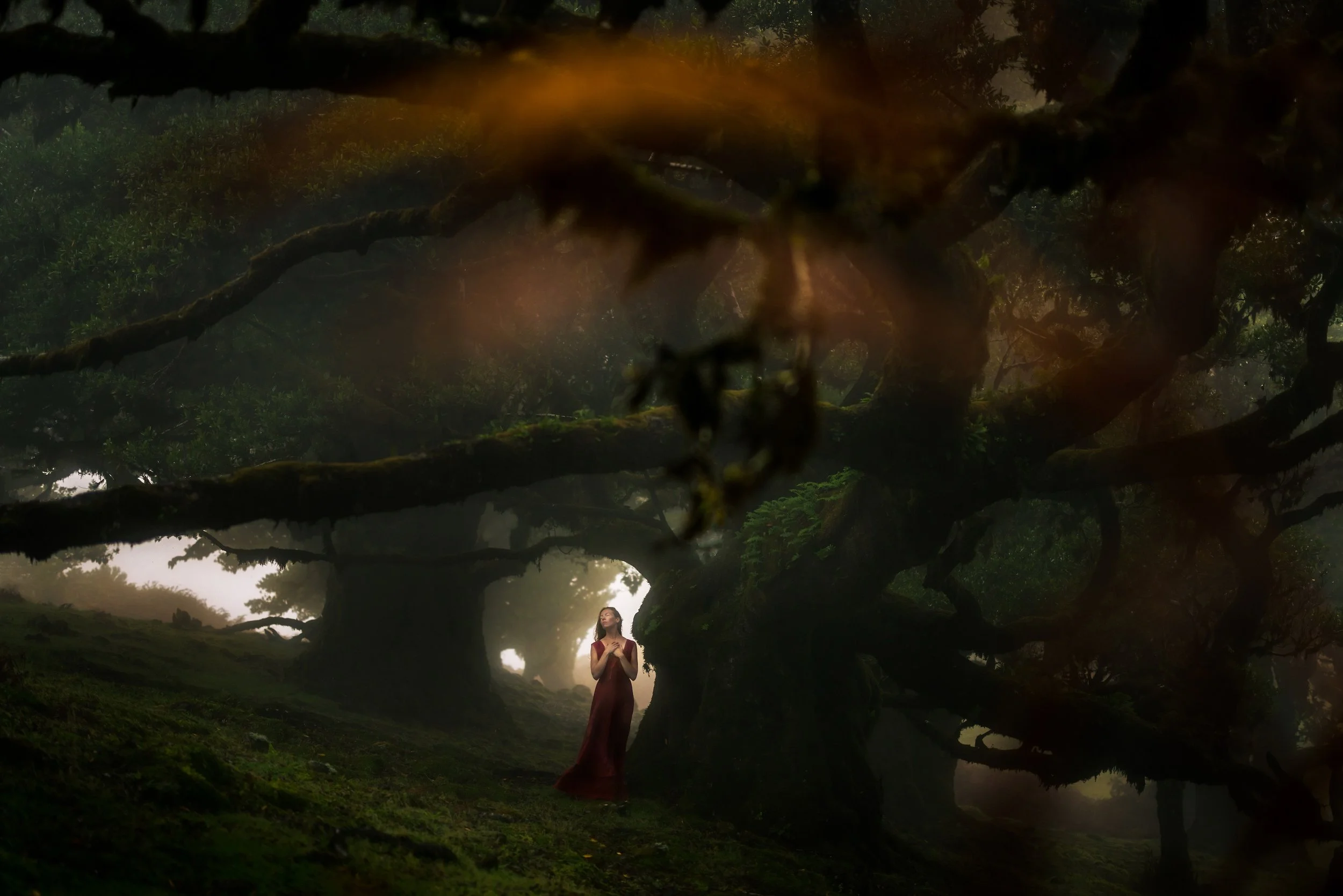 A woman in a long, red dress standing in a mystical forest with large, twisted ancient trees and misty atmosphere.