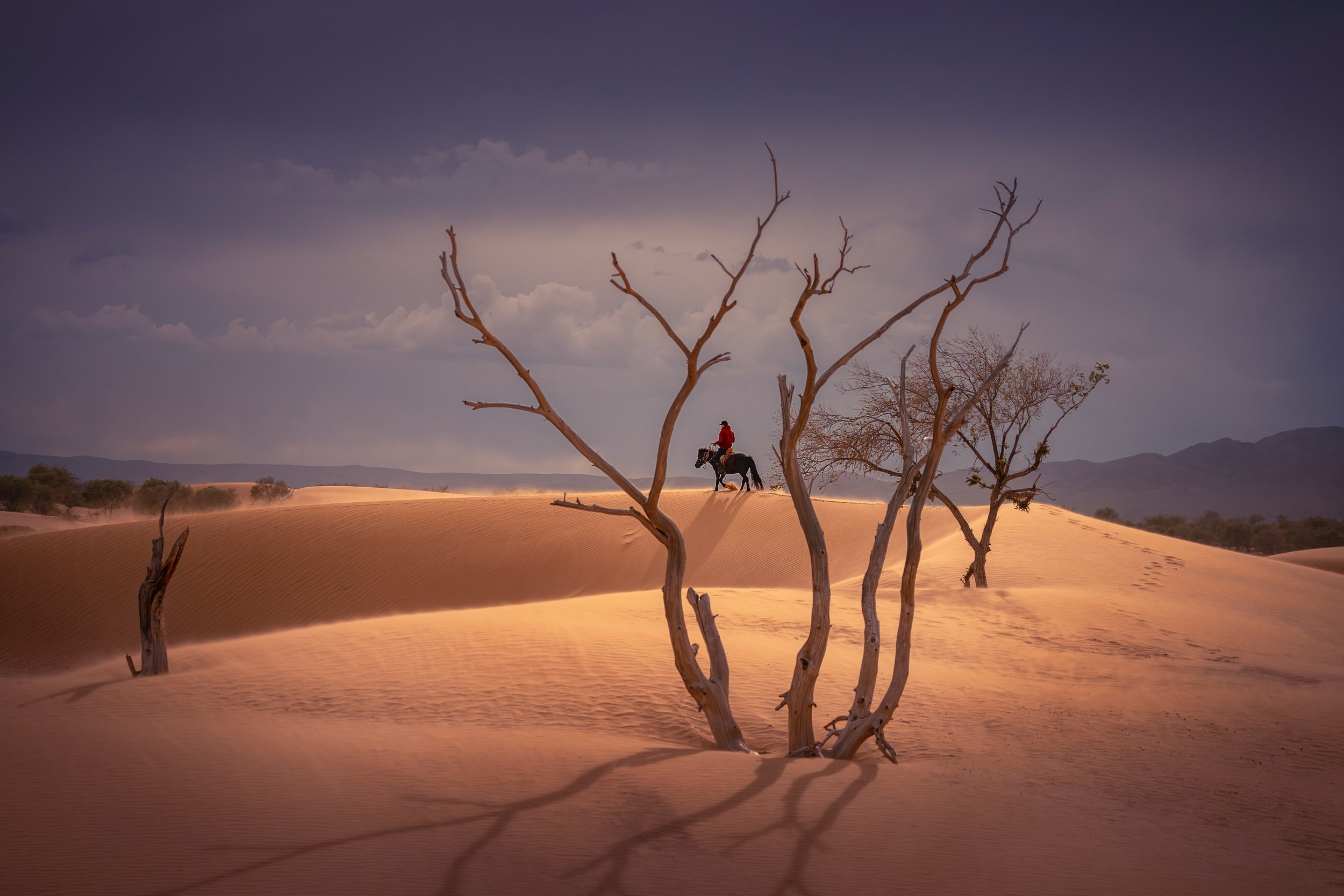 Person riding a horse across sand dunes in a desert with leafless trees and mountains in the background under a cloudy sky.