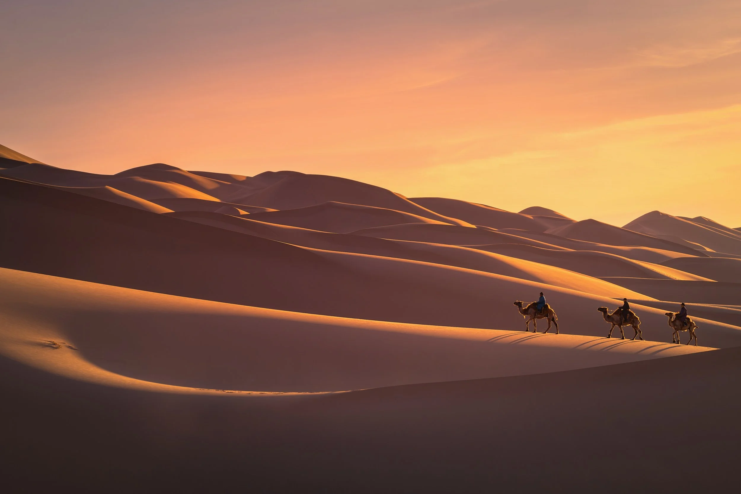 Three people riding camels across the Gobi desert during sunset.