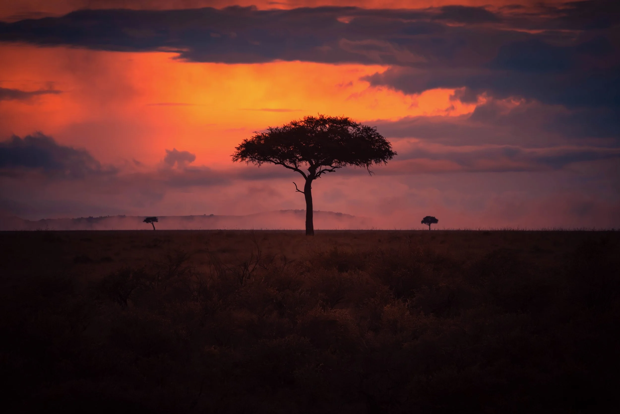 Silhouette of a solitary acacia tree on the African savannah during sunset with colorful orange, pink, and purple sky and distant trees.