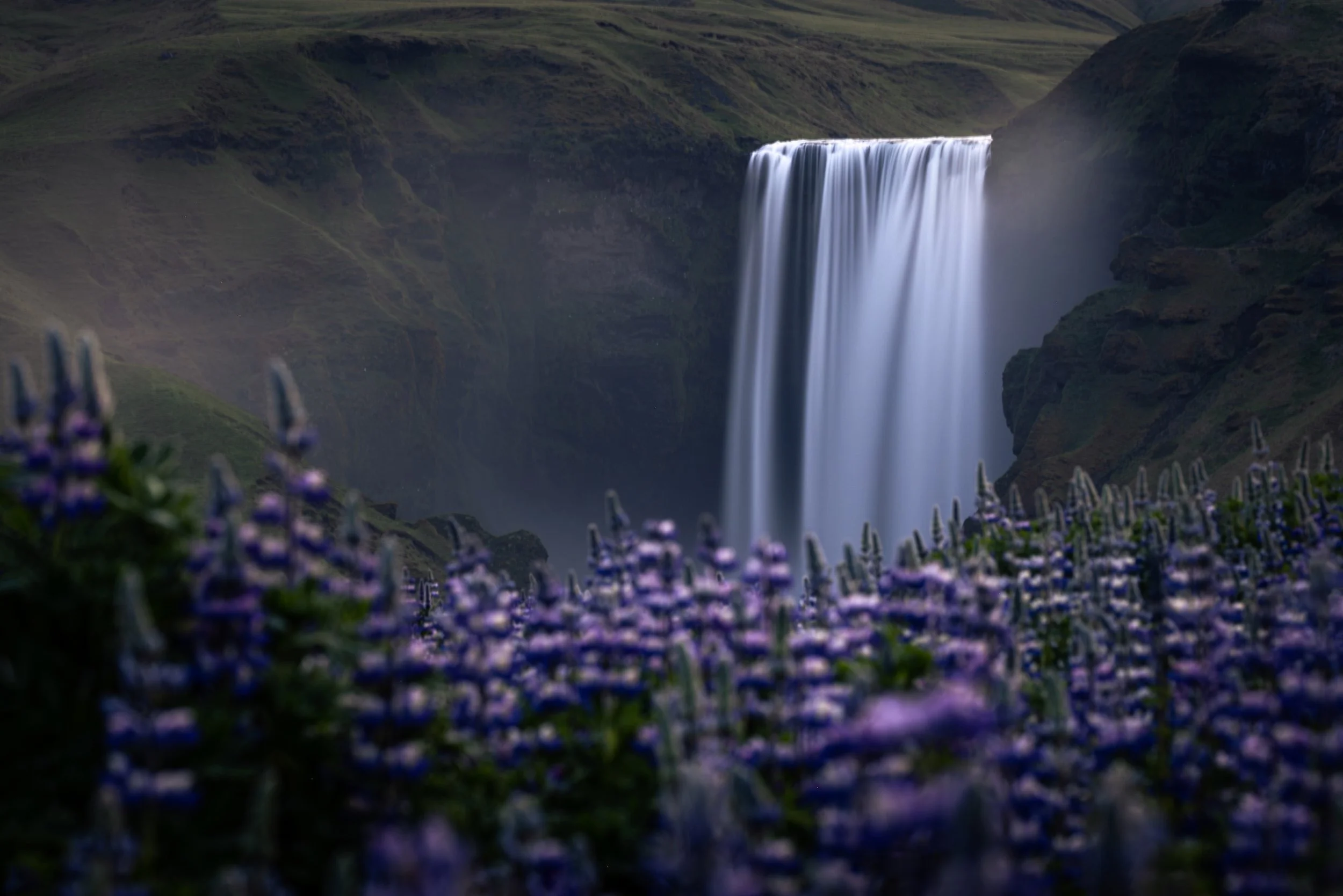 A waterfall cascading down a cliff surrounded by lush green hills and purple flowers in the foreground.