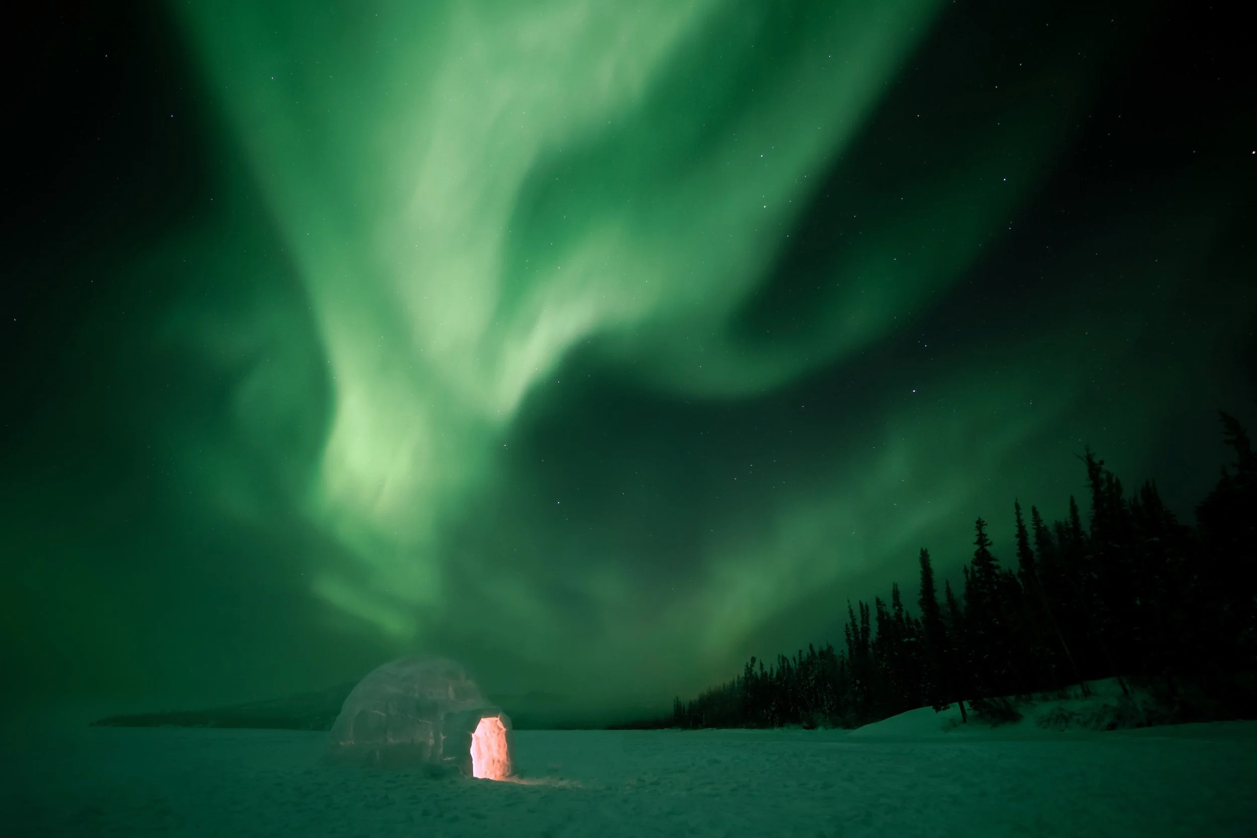 Northern lights glowing green in the night sky over a snow-covered landscape with an igloo and silhouetted trees.