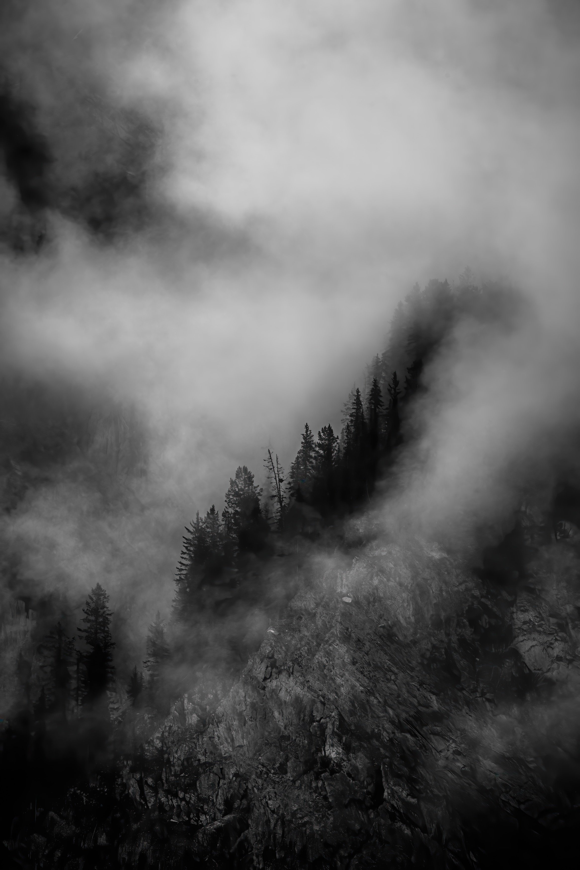 A black and white photo of a misty mountain landscape with trees and rocky terrain.