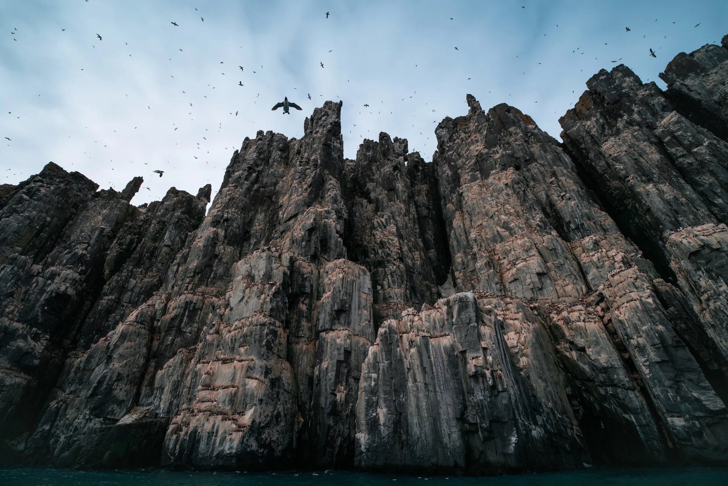 High cliffs with dark, rugged rock formations rising from the water, with a flock of seabirds flying overhead against an overcast sky.