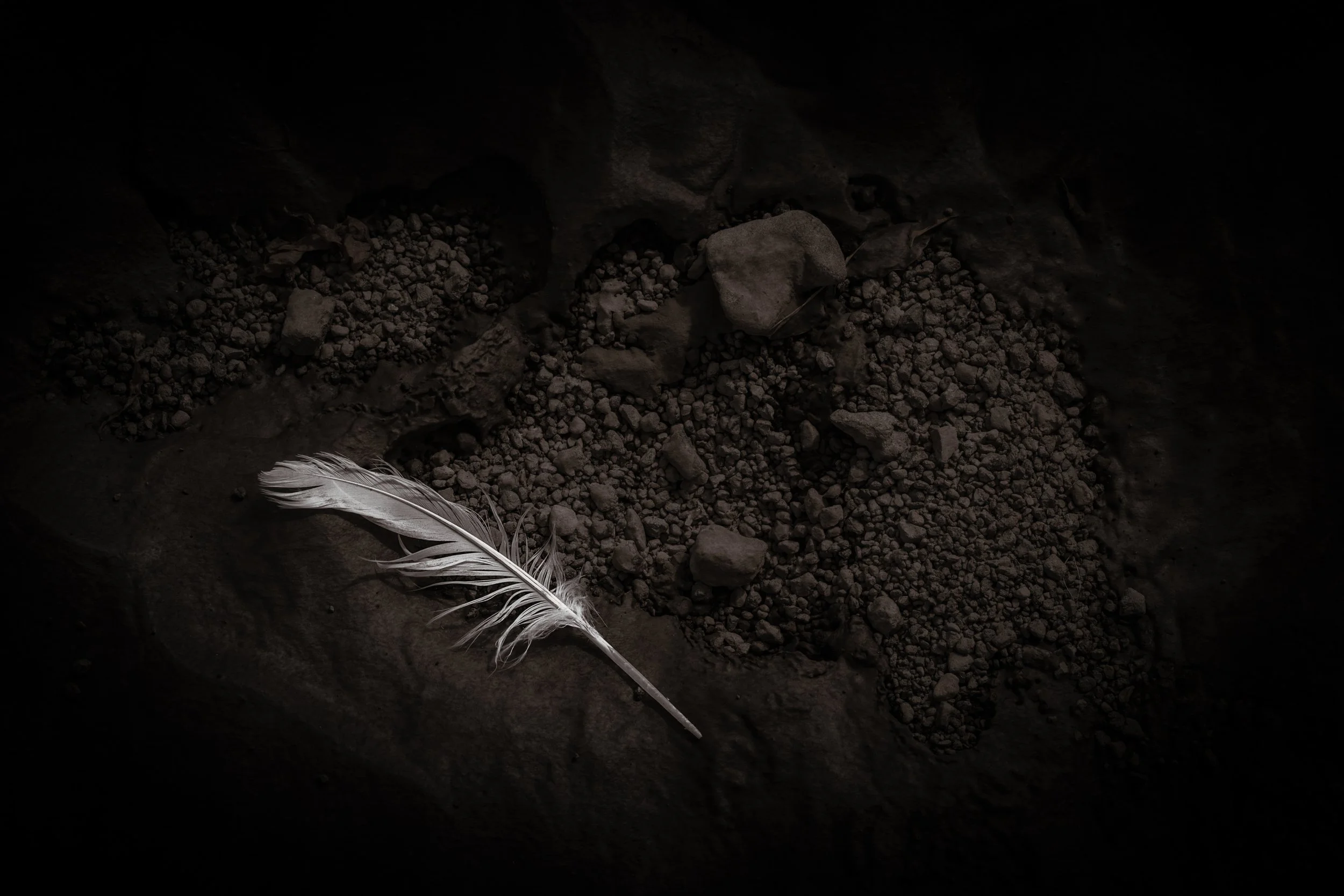 A white feather lying on dark, uneven dirt and small rocks.