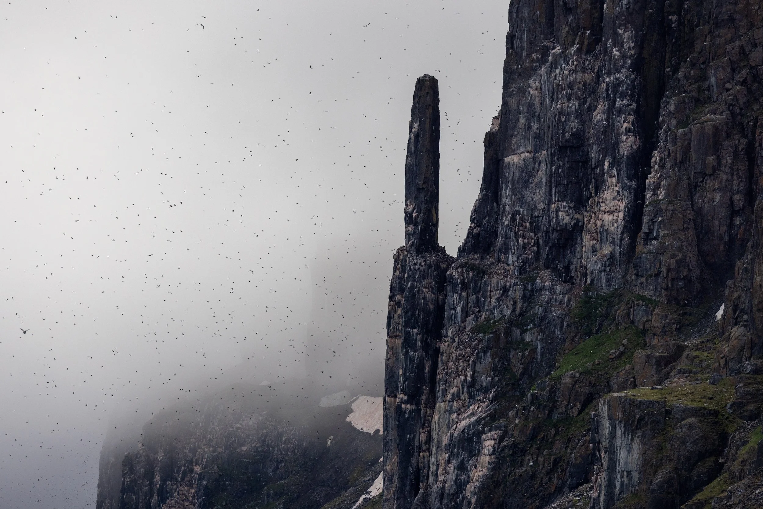 Steep mountain cliff with a tall, narrow rock formation on the right side, surrounded by fog and a flock of birds flying in the sky.