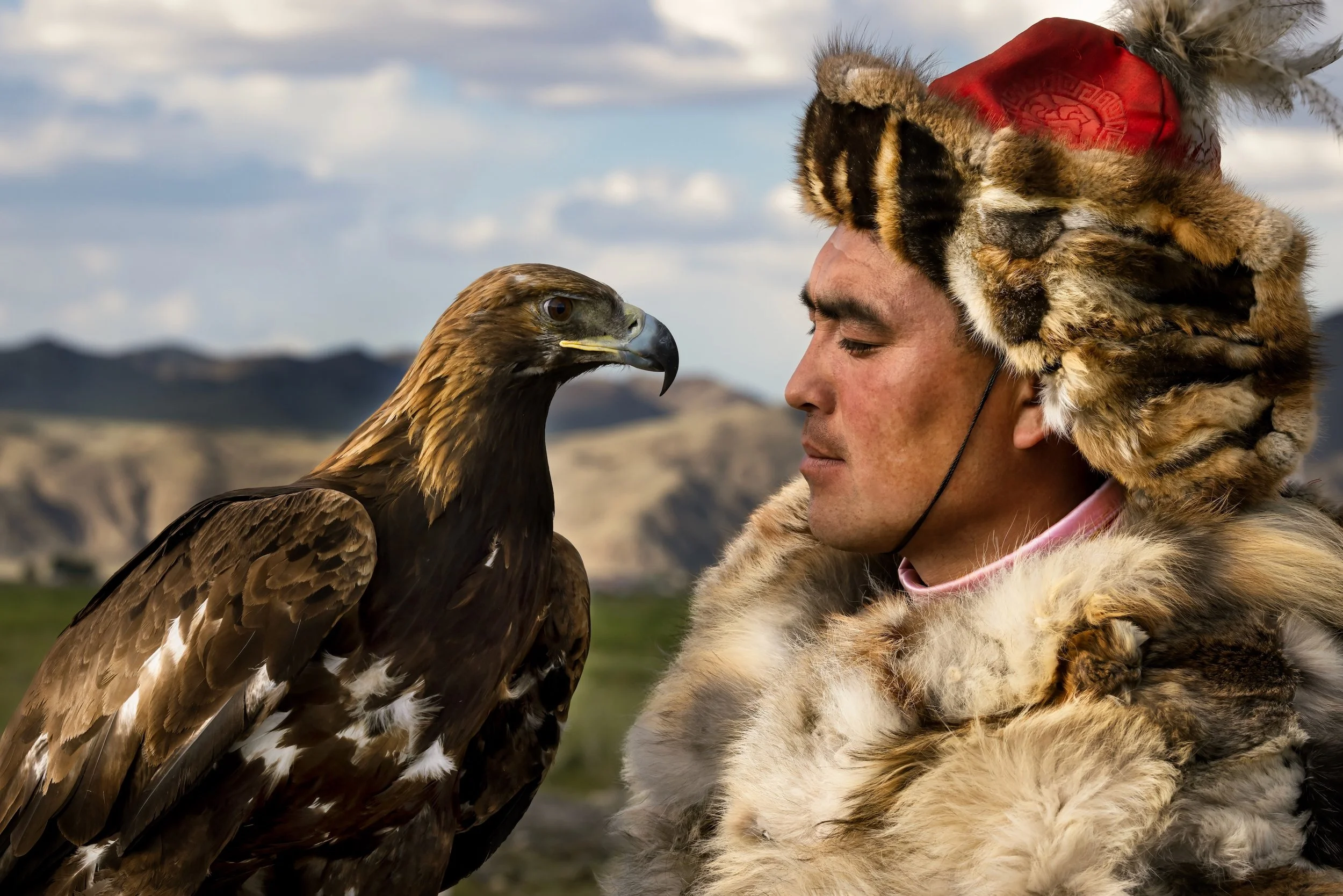 A man dressed in traditional Mongolian clothing with fur and a feathered headdress, facing a large bird of prey, an eagle or hawk, in an outdoor landscape with mountains in the background.