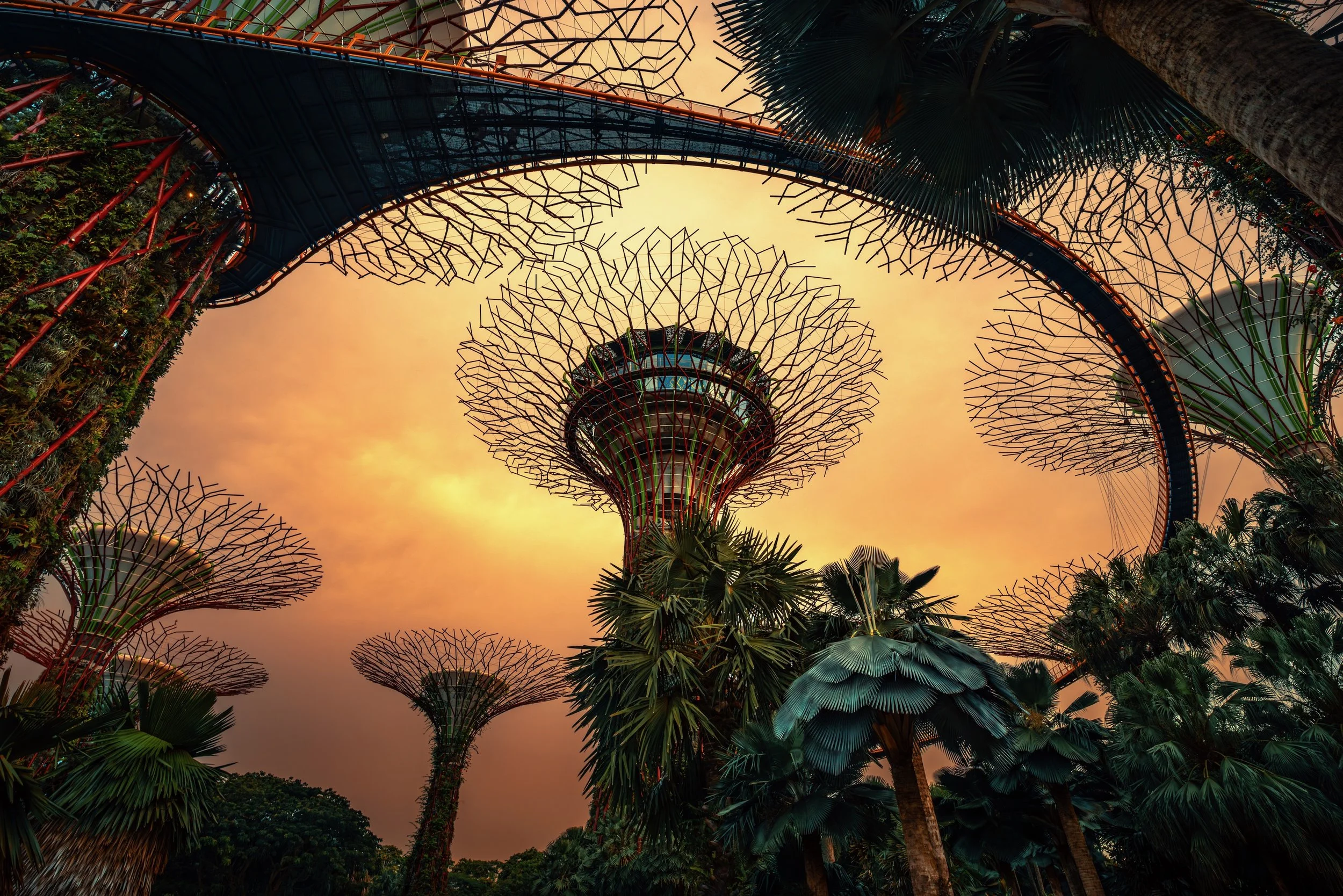 View of the Supertree Grove at Gardens by the Bay in Singapore, with futuristic tree-like structures and an orange sunset sky.