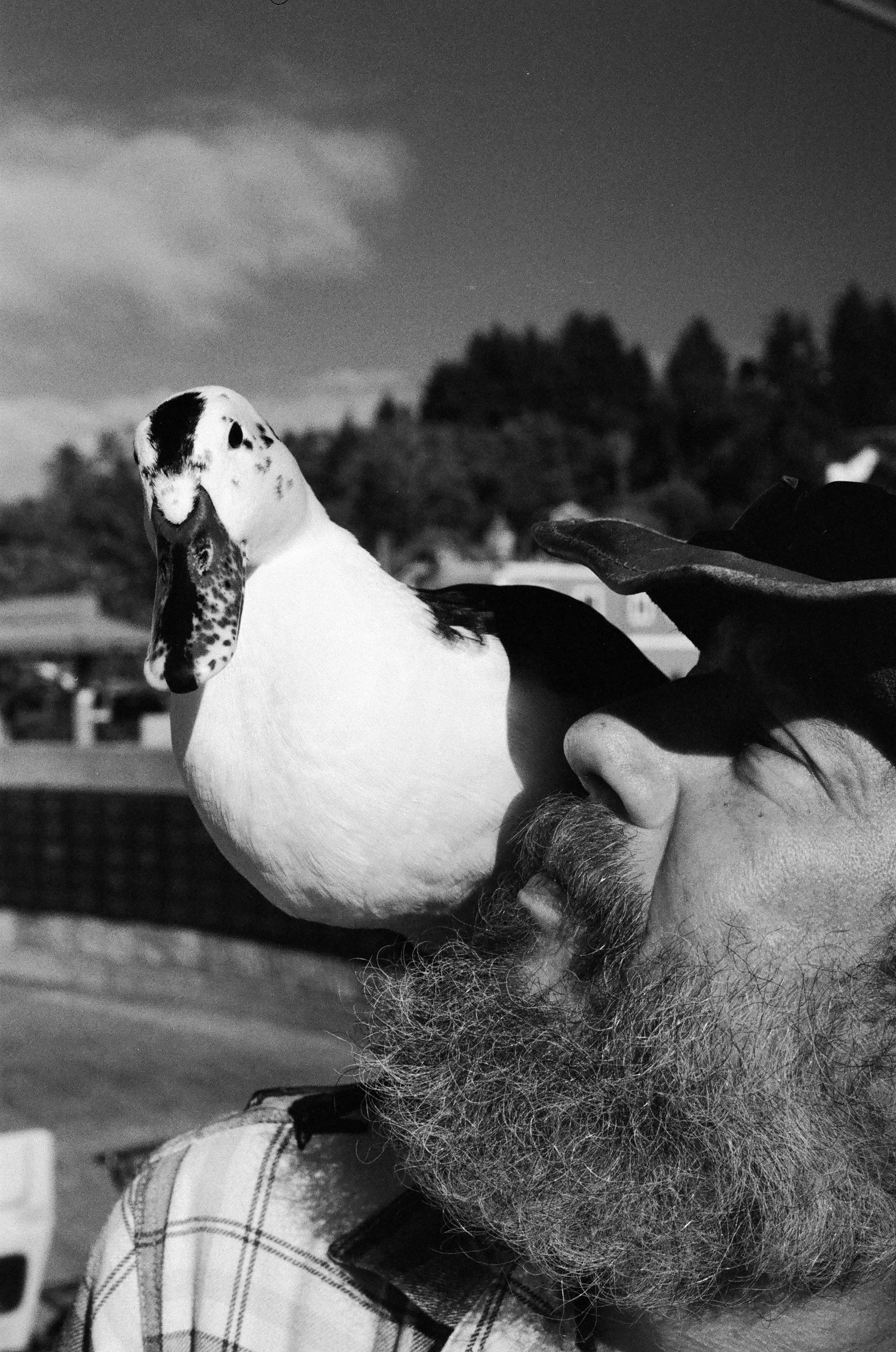 BW67.jpg