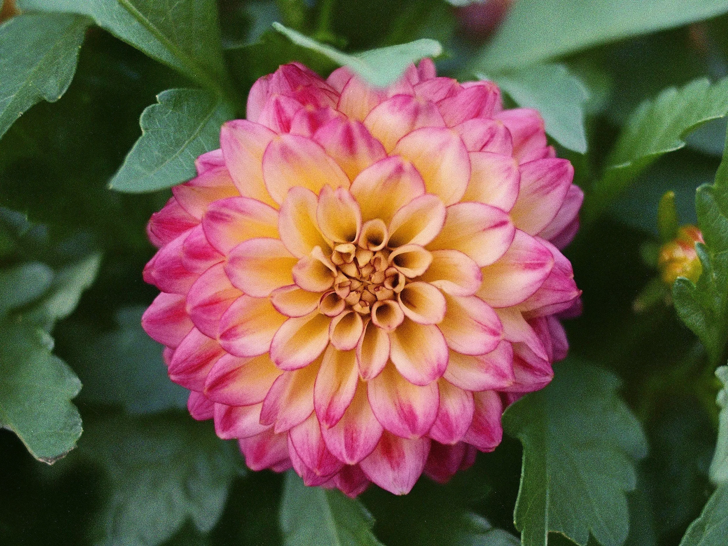 Color33.jpg