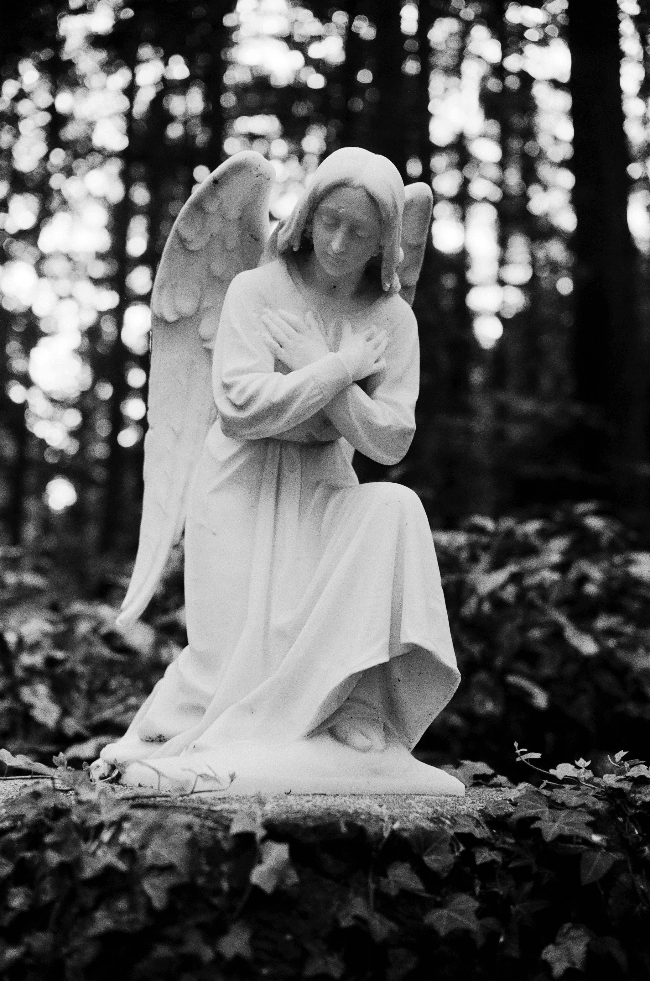 BW64.jpg