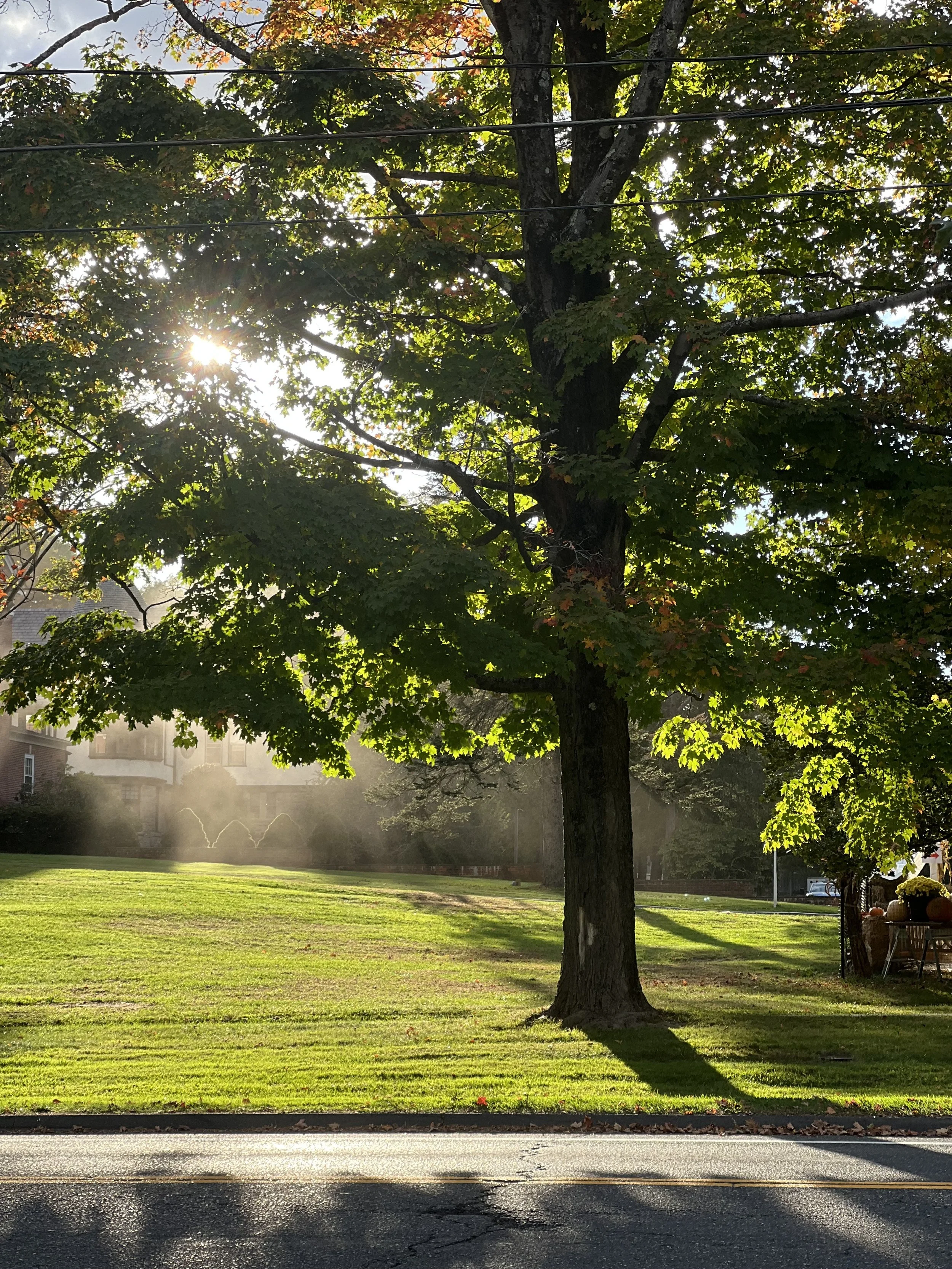 If Healing is Not Linear, then What is It?