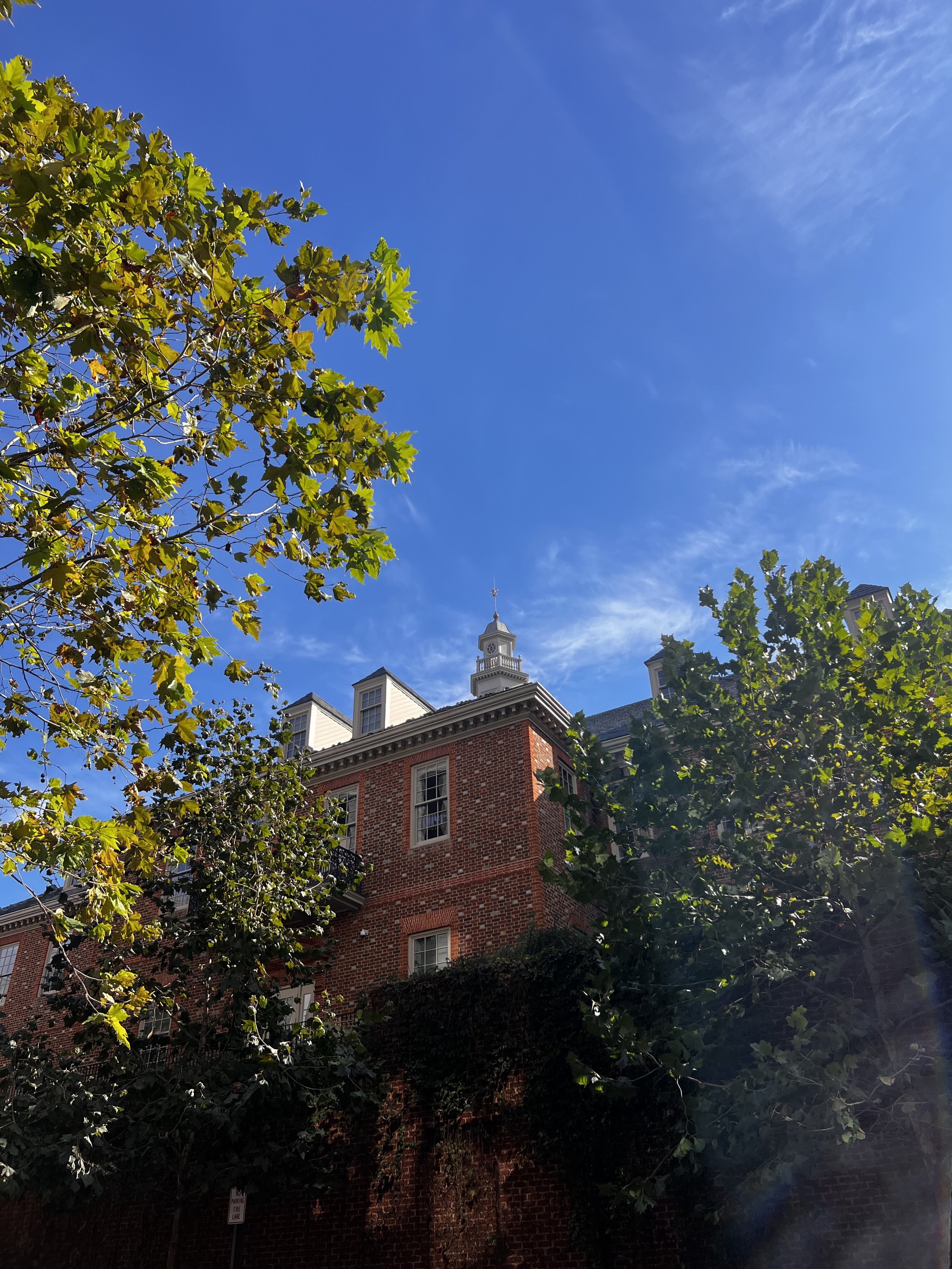 Does Being “Realistic” Trap Us in Cages?