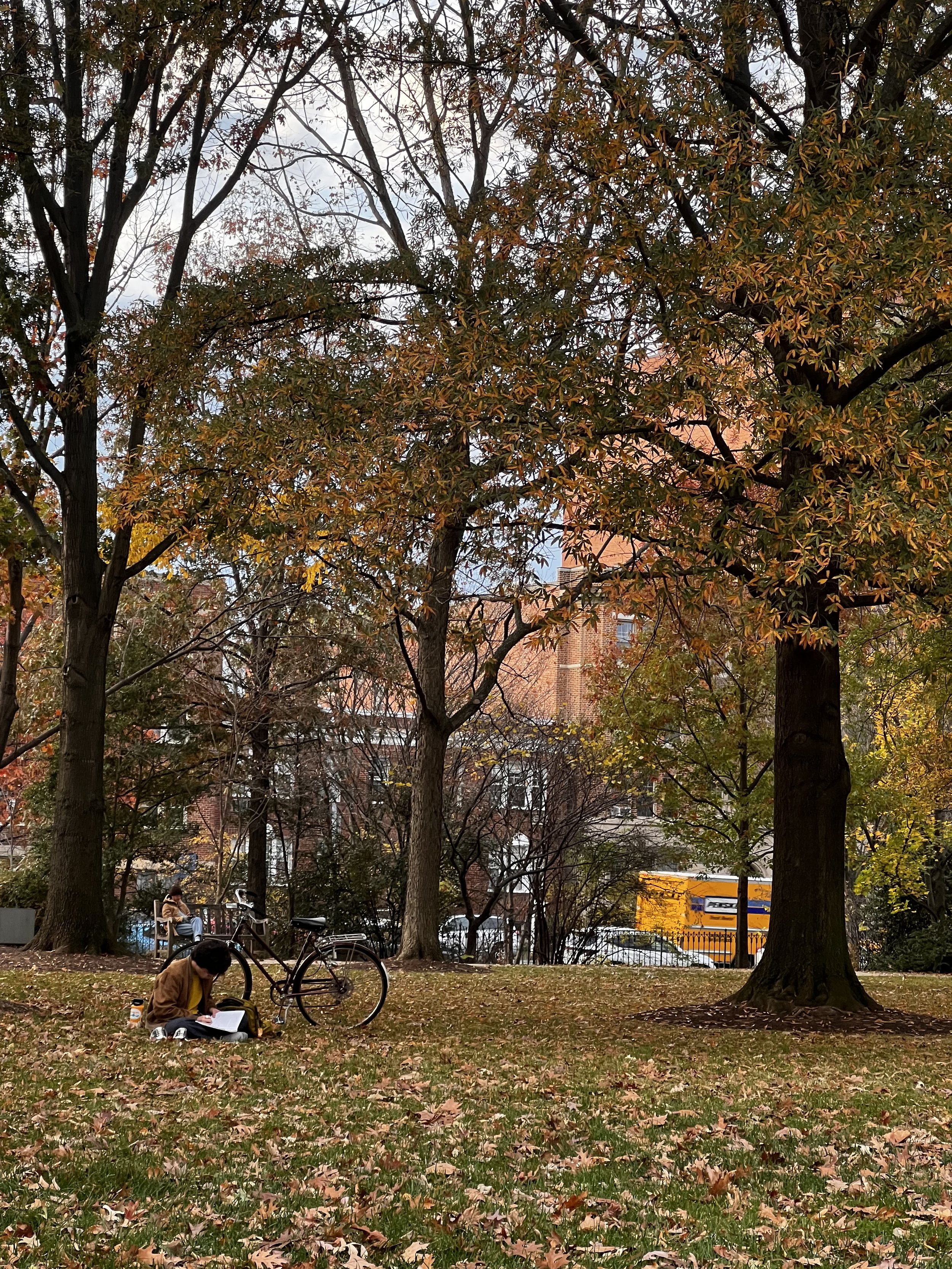 Where Do We See Slivers of Hope Around Us?