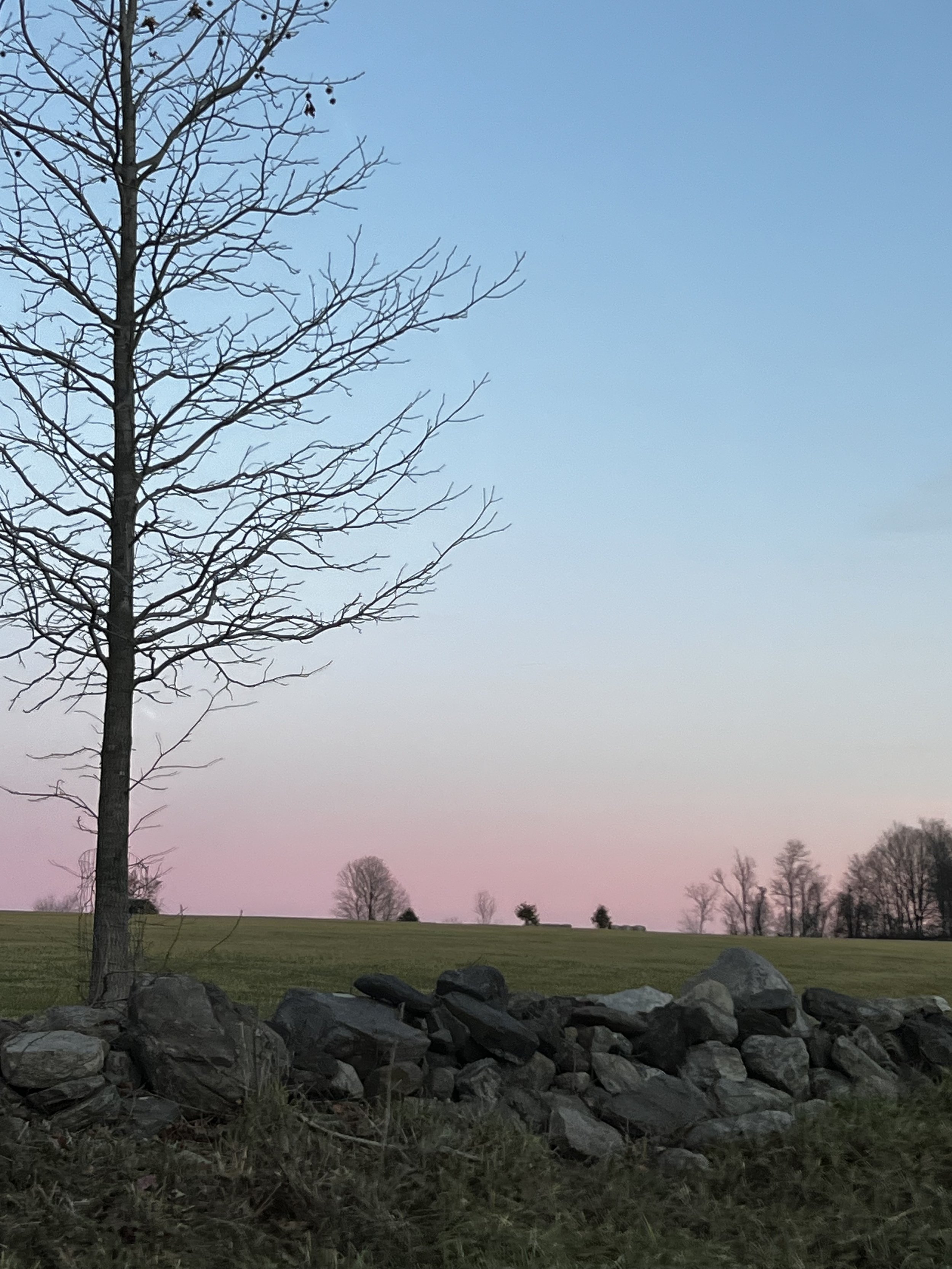 The Roughness of Coming “Home”