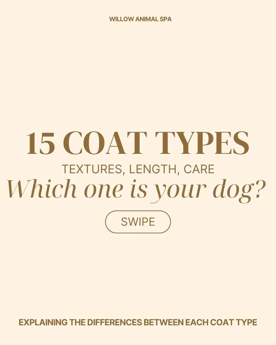 Dogs come in more than just different shapes and sizes&mdash;their coats vary just as much too! From sleek and short to thick and curly, each coat type has its own unique look and care needs. Swipe through to learn the different dog coat types and wh