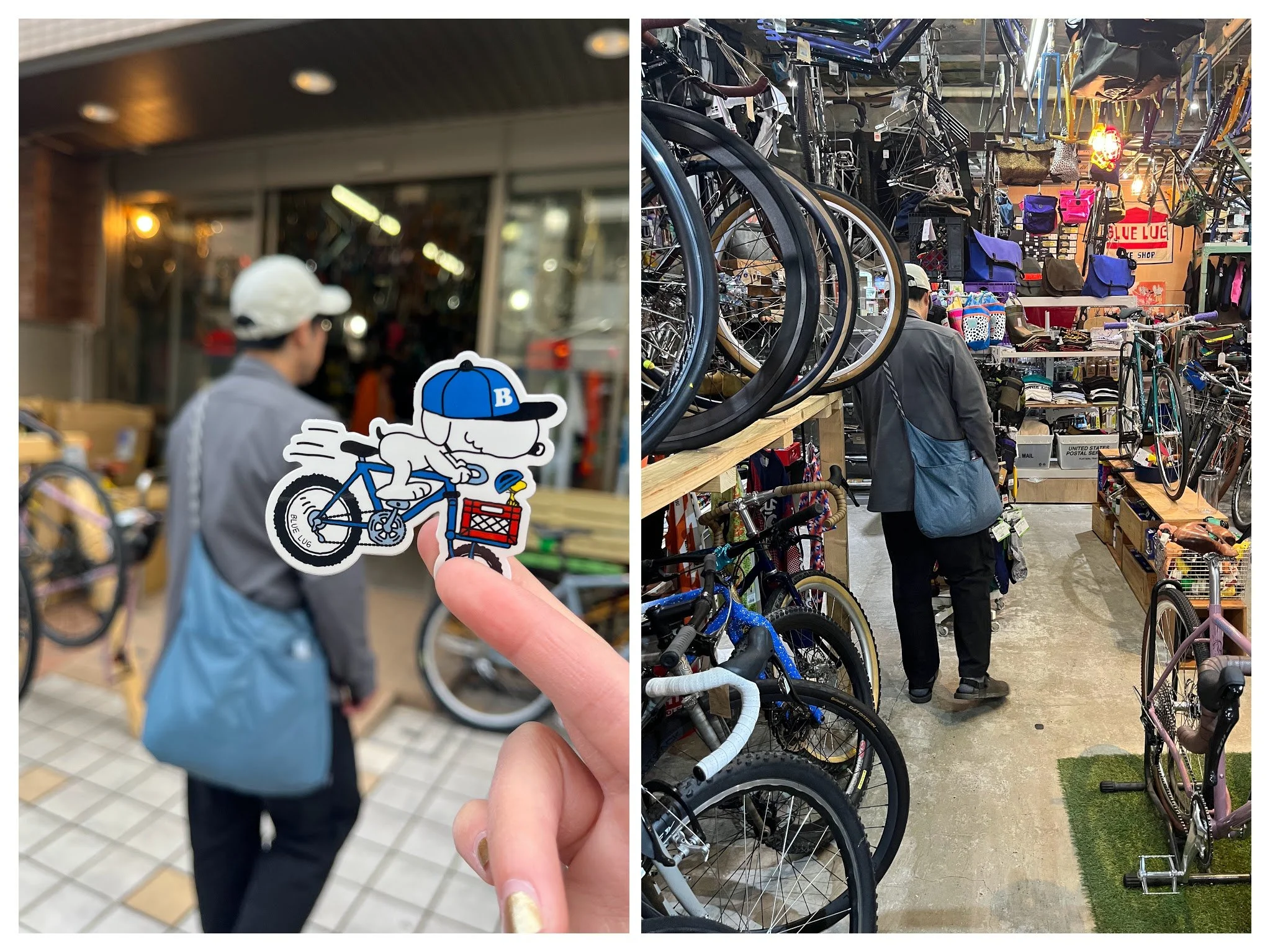 checked out THE bike shop (Blue Lug)