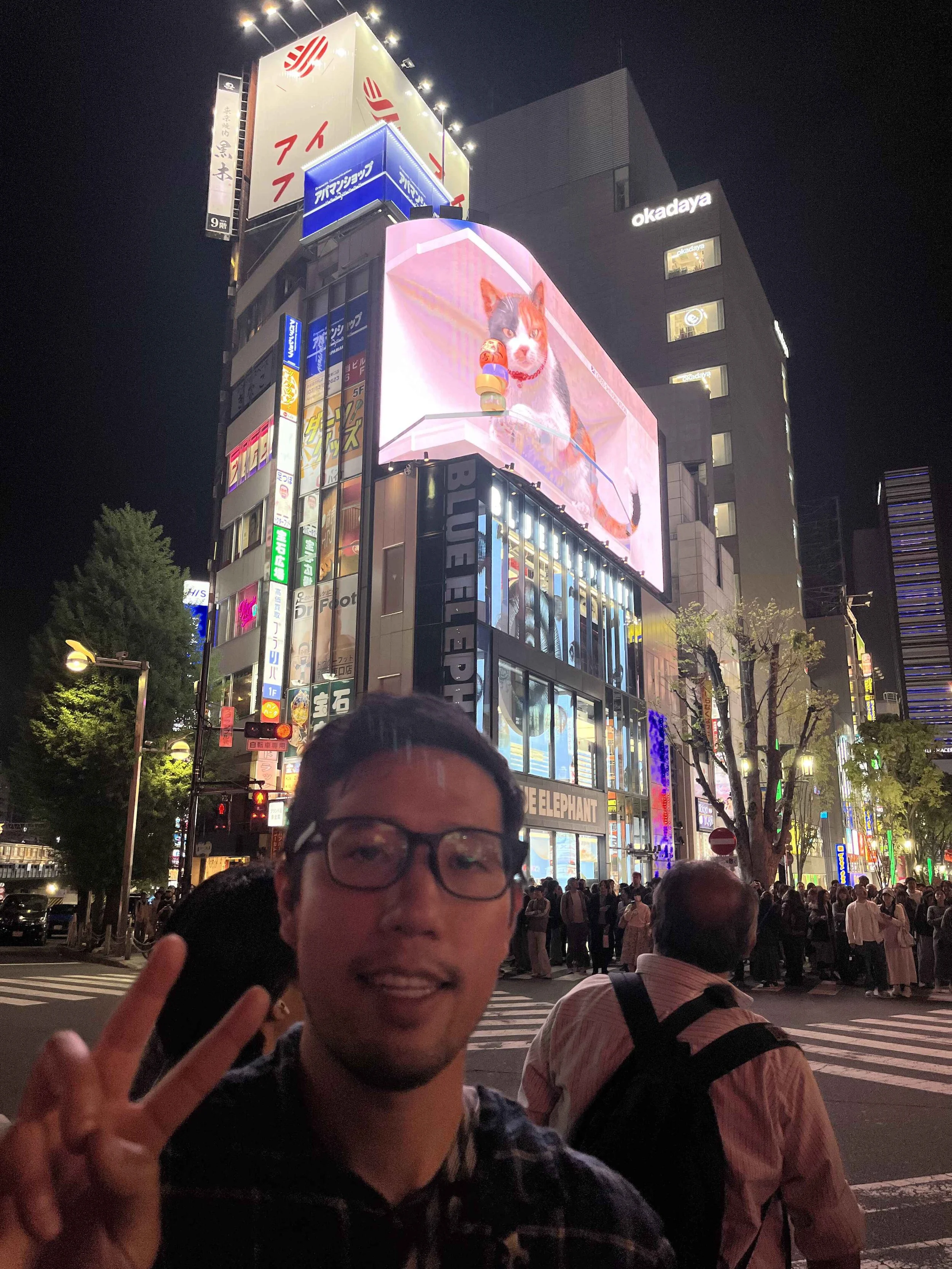 for our last night, we found the last few tourist spots, including the 3D cat