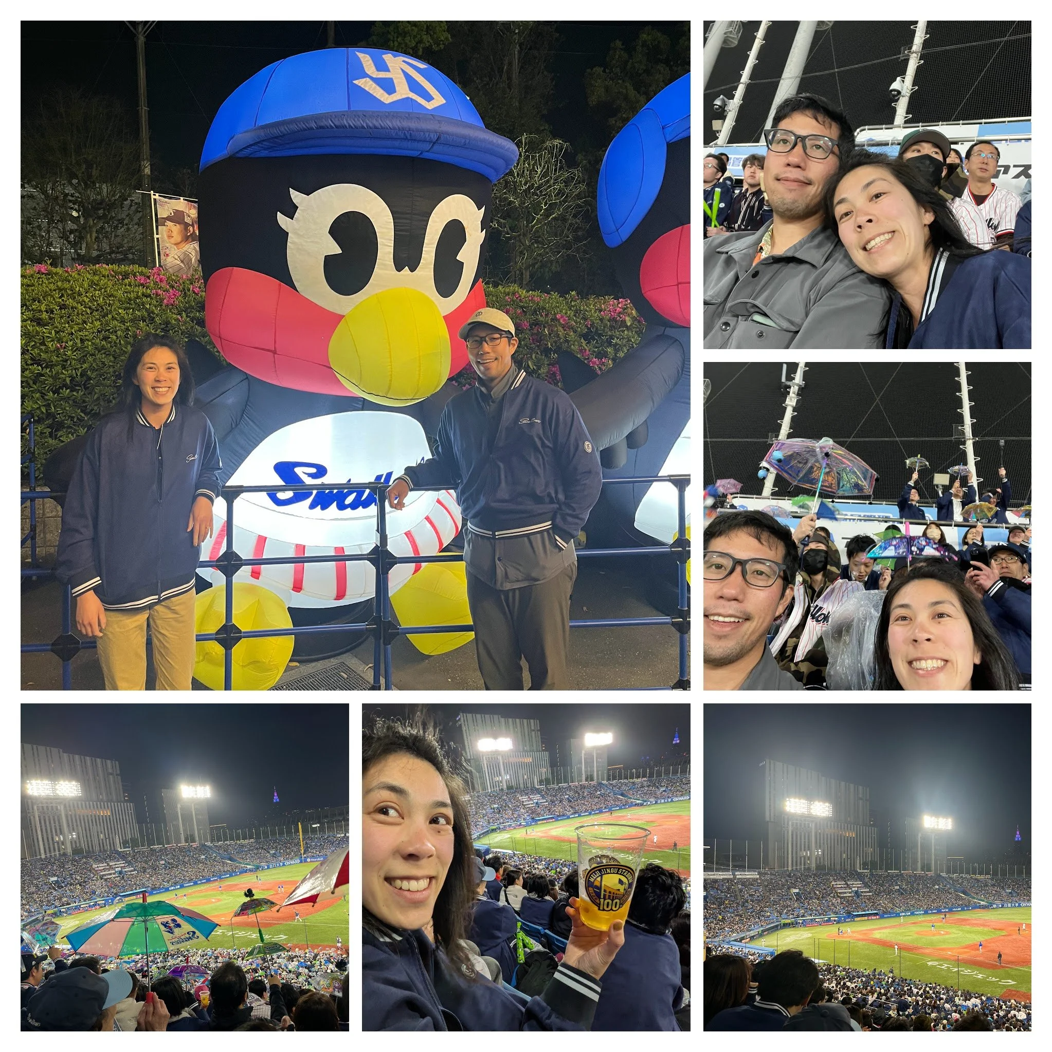 to go to a Swallows game