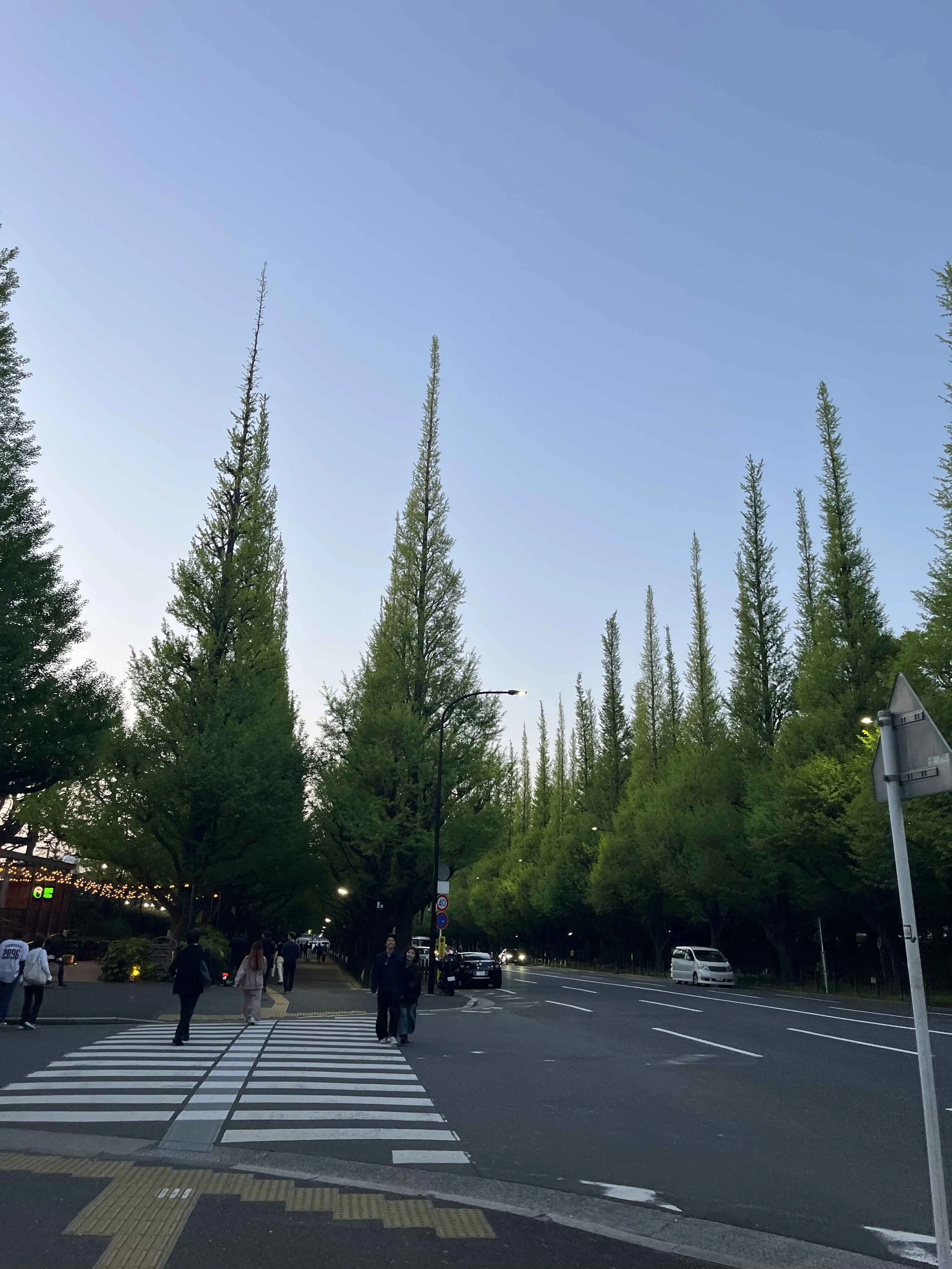 before walking along a ginko tree lined street