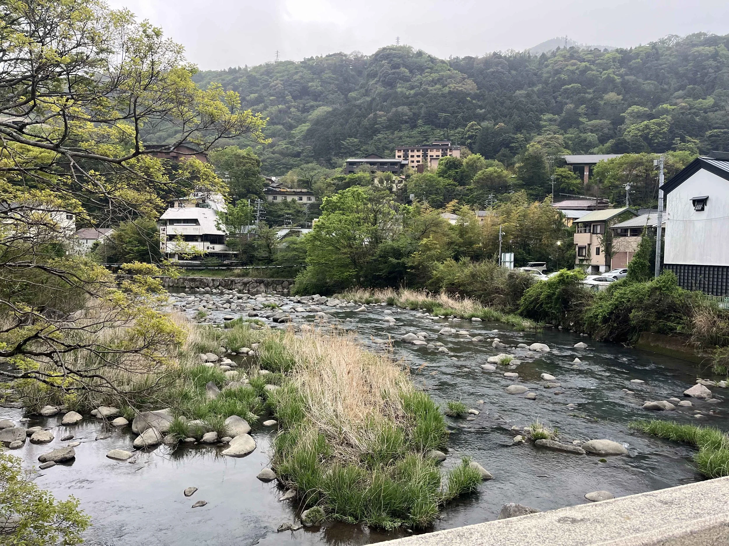 sleepy hakone