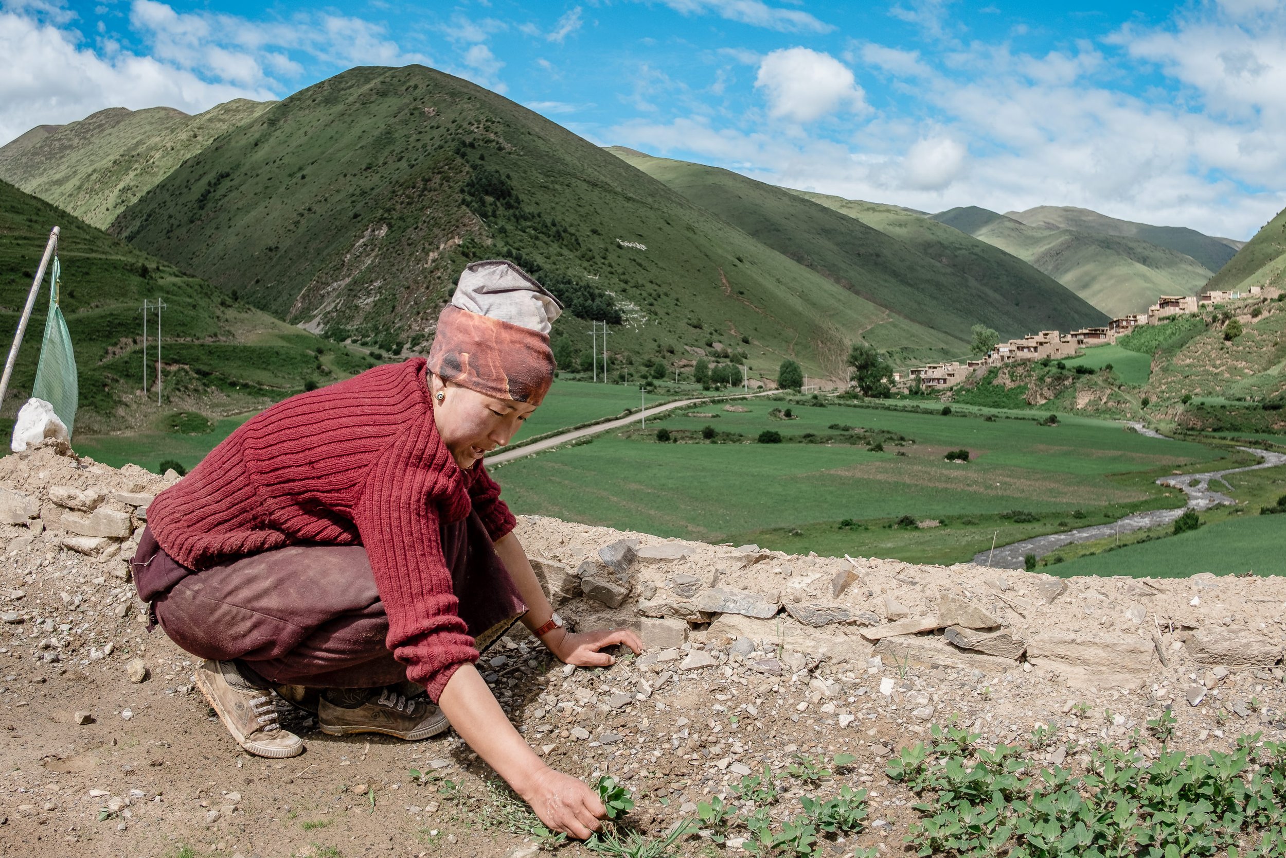 20180617_KhanaVillage_0416.jpg