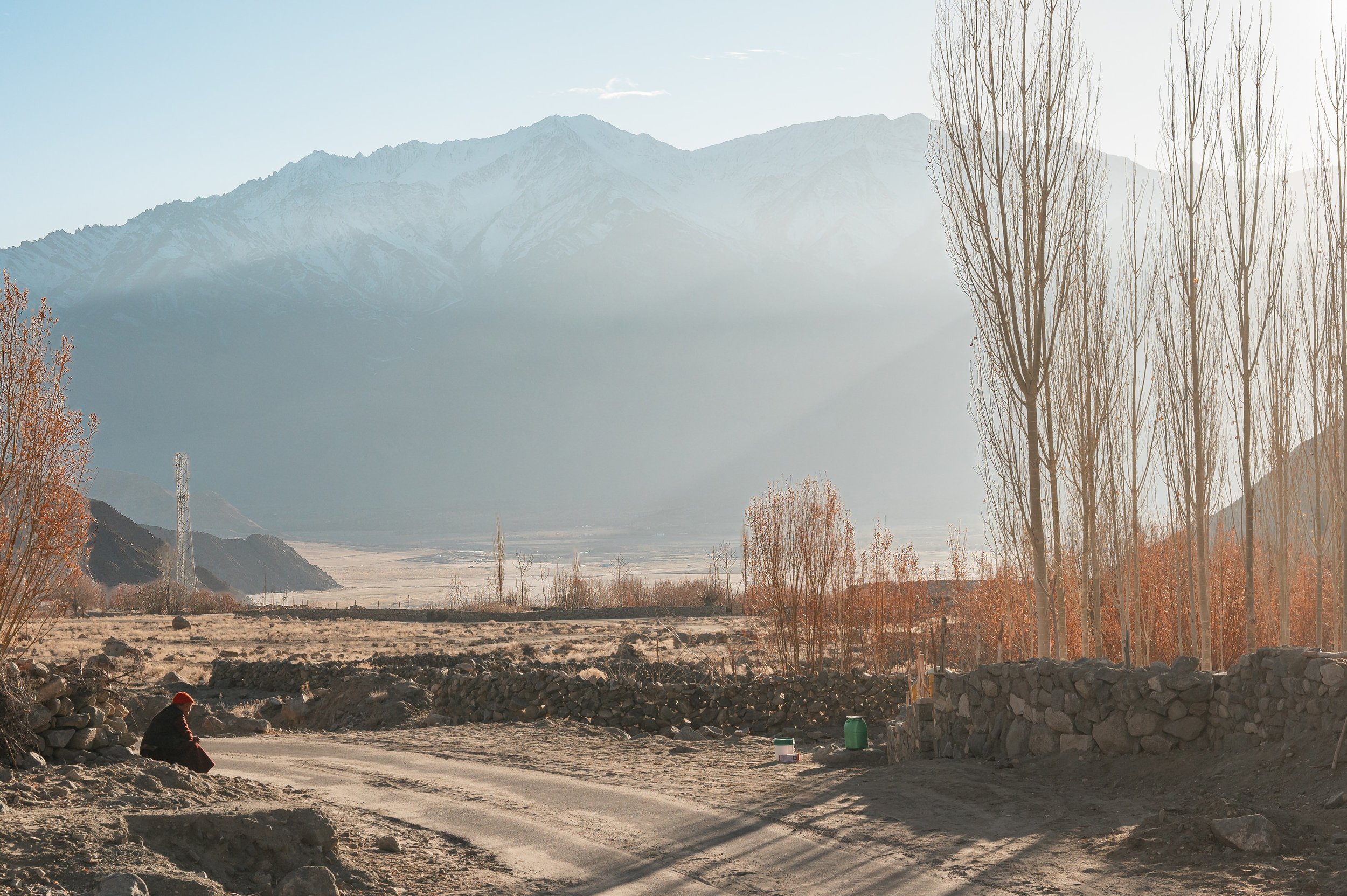 ladakh-winter-landscape-nang-village-indus-valley-Ama-Grandma-bare-poplars-landscape.jpg