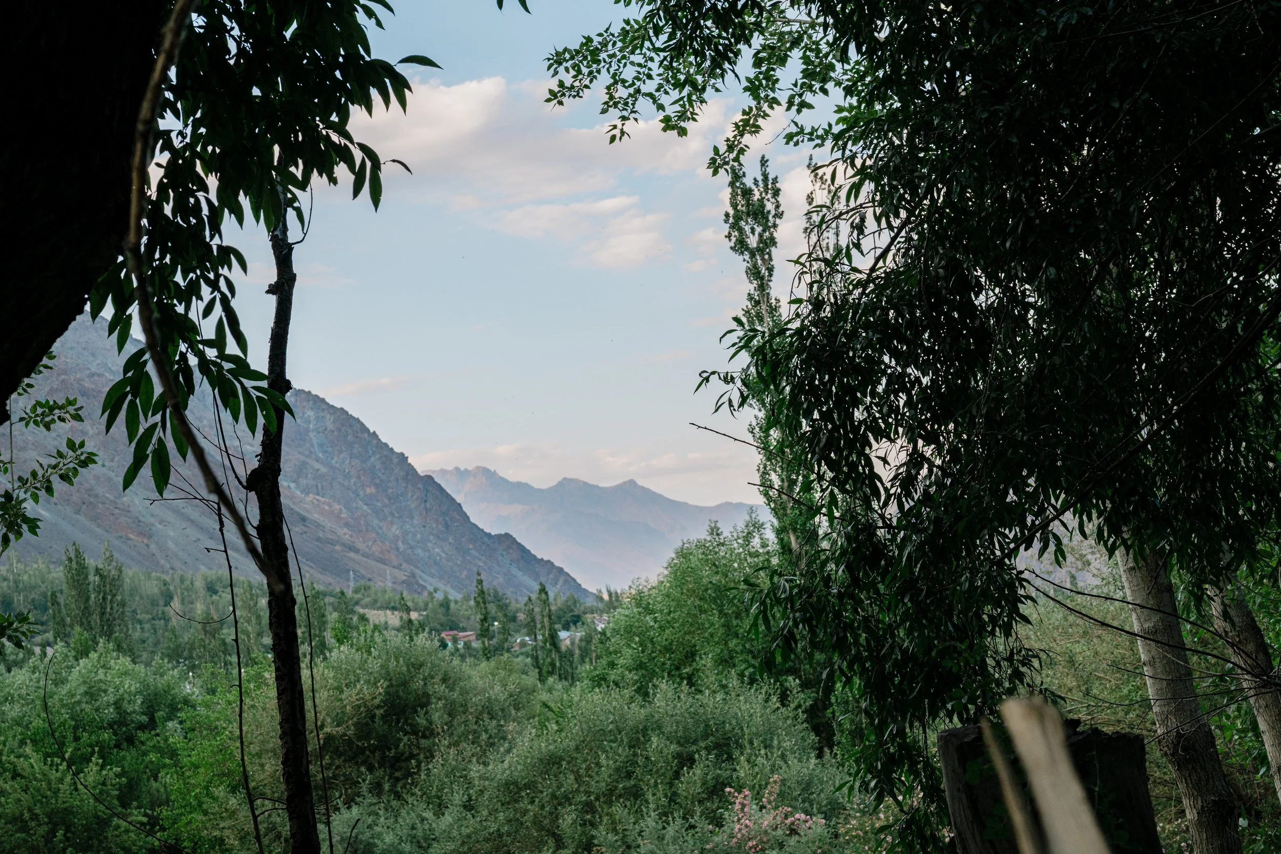 Sayeba_Kargil_2024-178.jpg