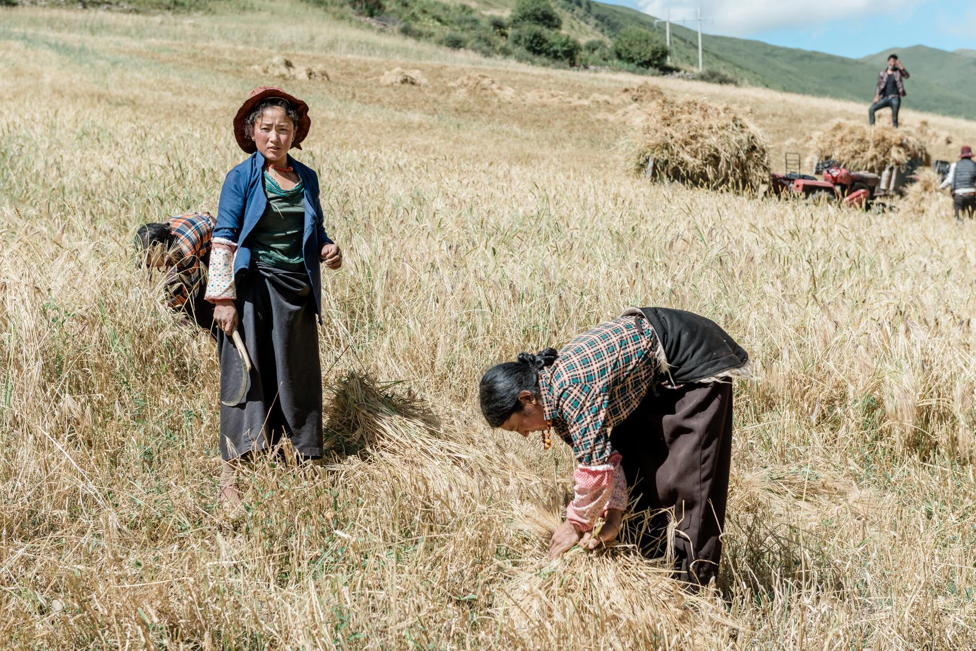 tibetan-agricultural-life-photojournalism-eleanor-moseman.jpg