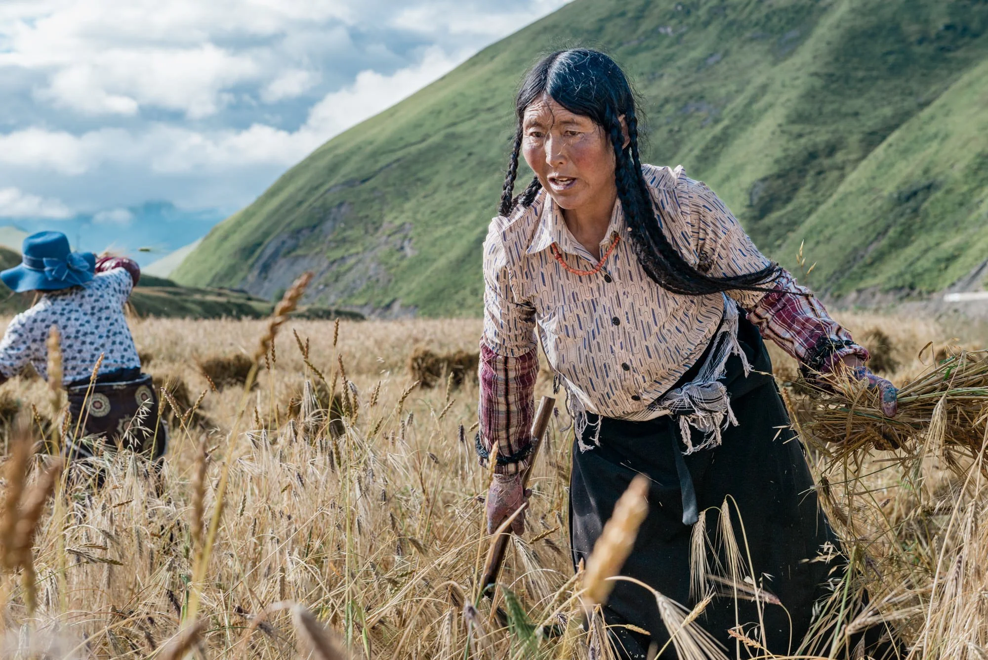 tibetan-women-barley-harvest-documentary-photography-eleanor-moseman.jpg