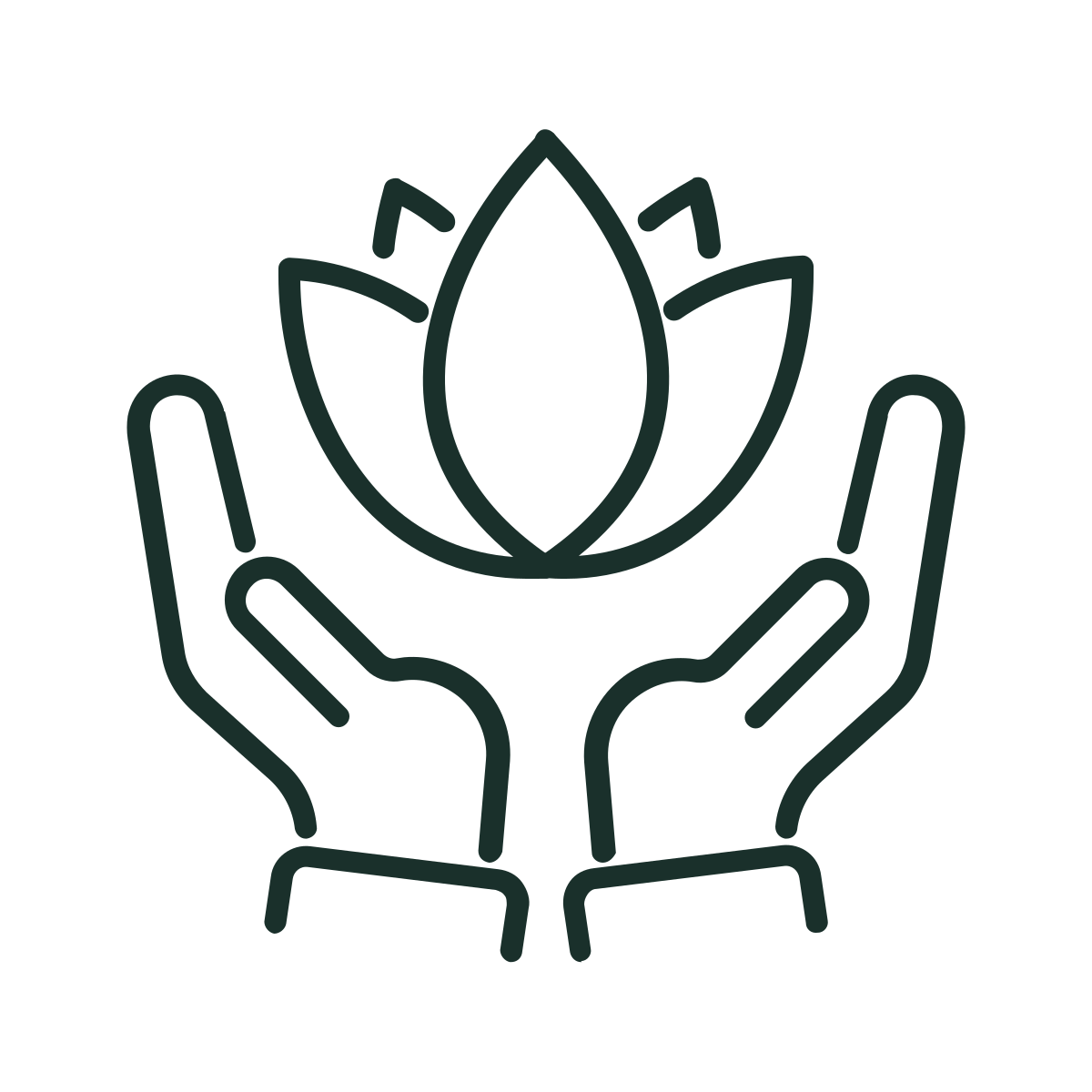 Outline drawing of two hands cupping a stylized plant with three leaves.
