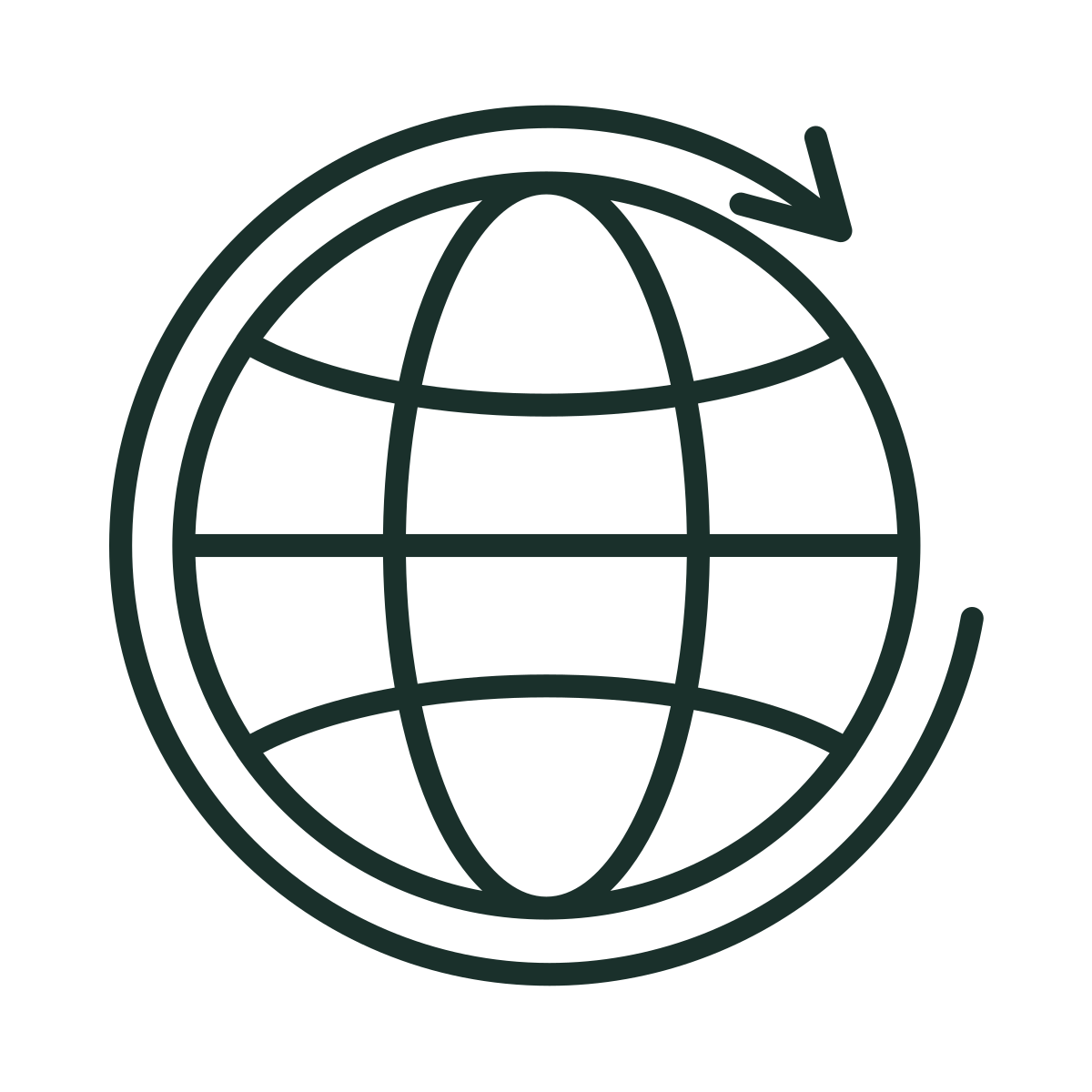 Icon of a globe with latitude and longitude lines and an arrow wrapping around it.