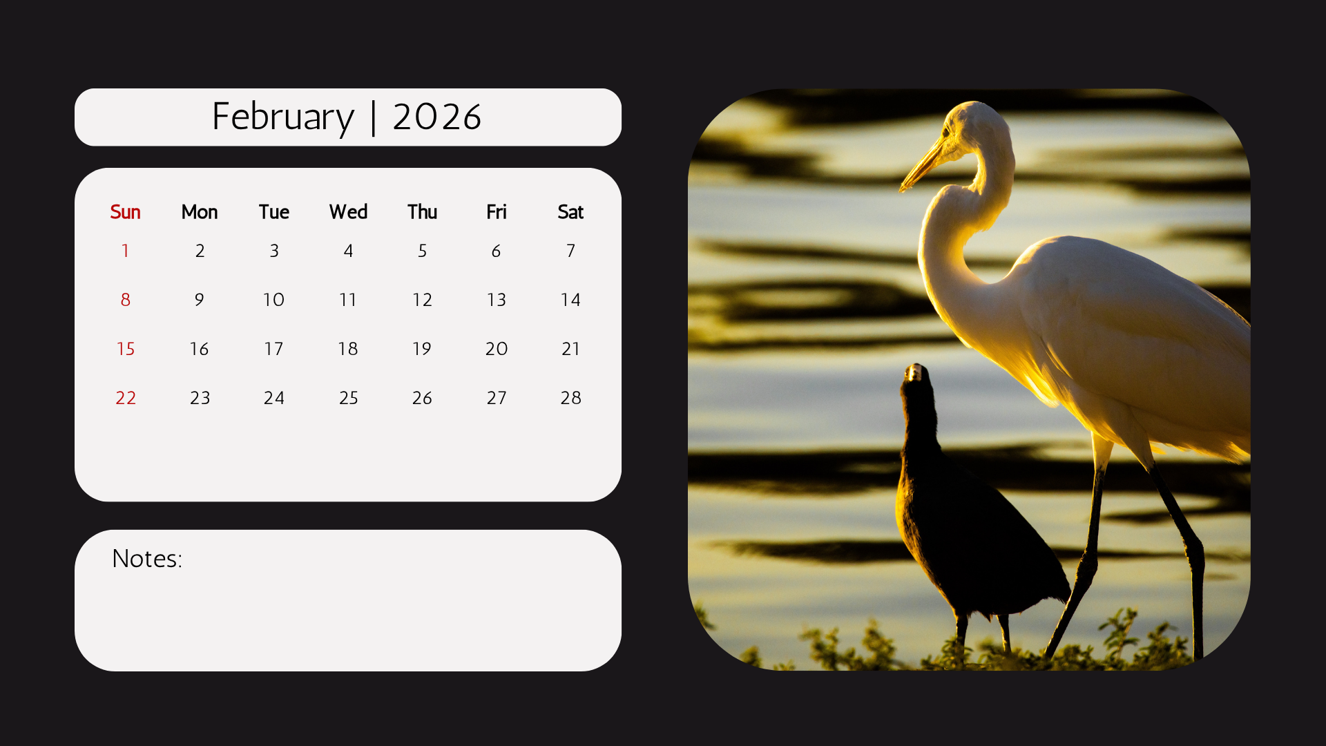 Edi WIldlife  2026 Calendar4.png