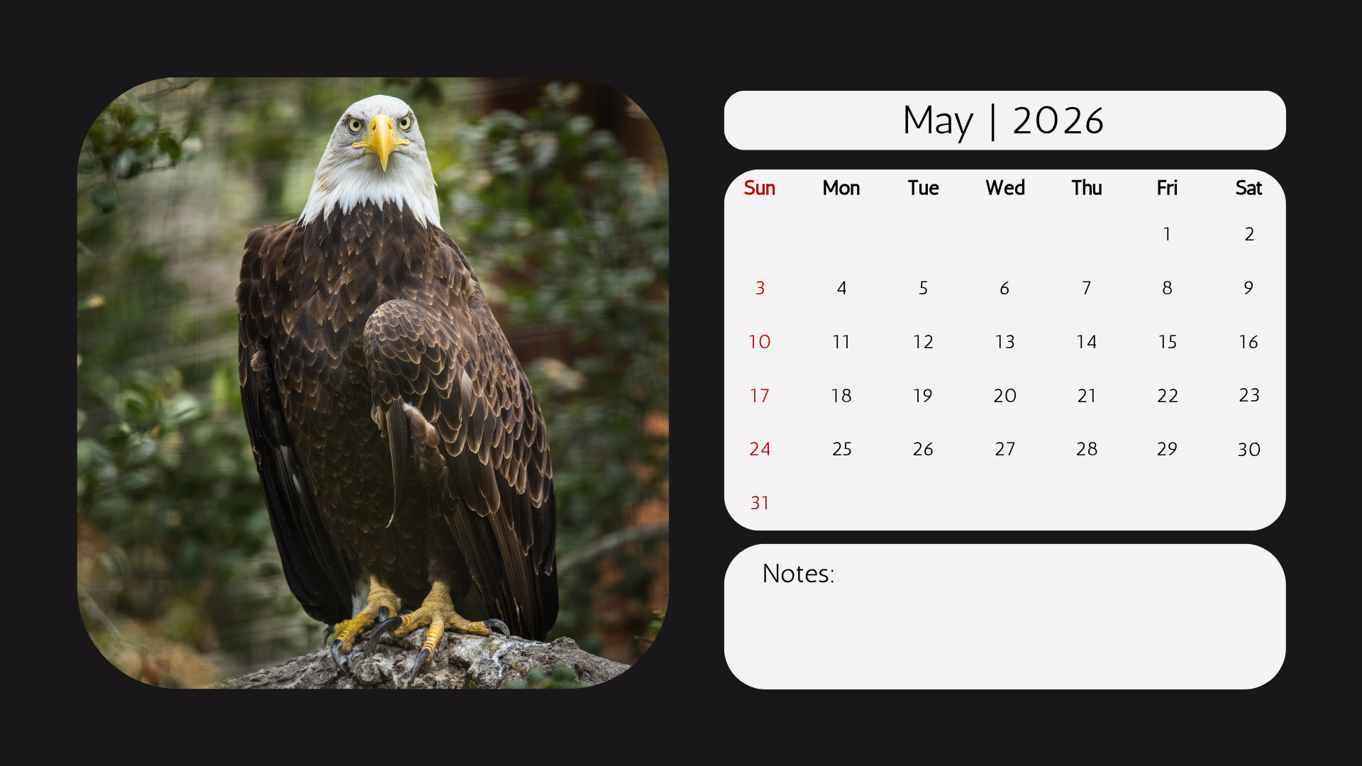 Edi WIldlife  2026 Calendar3.png
