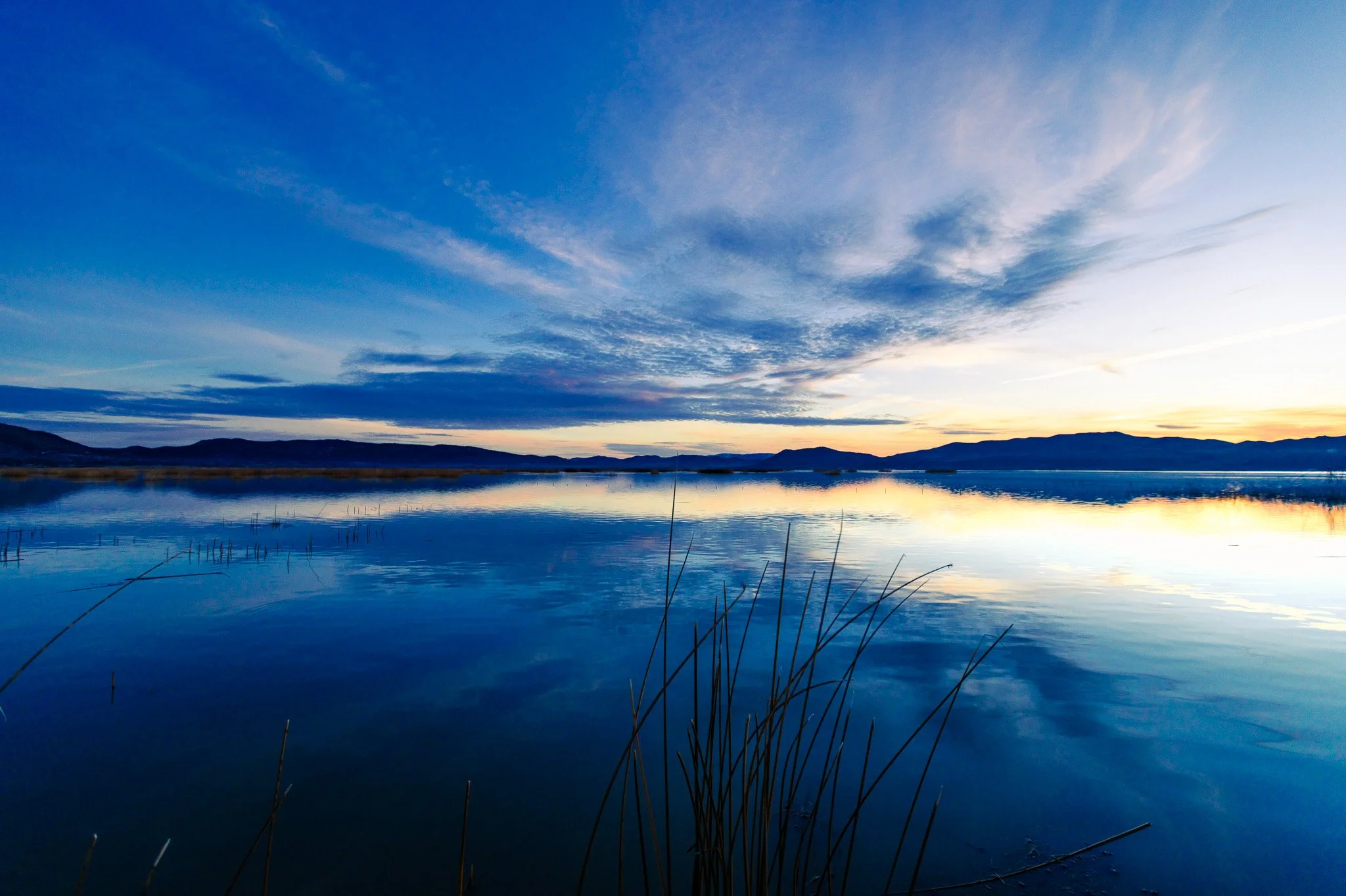 Wide Angle at Swan Lake