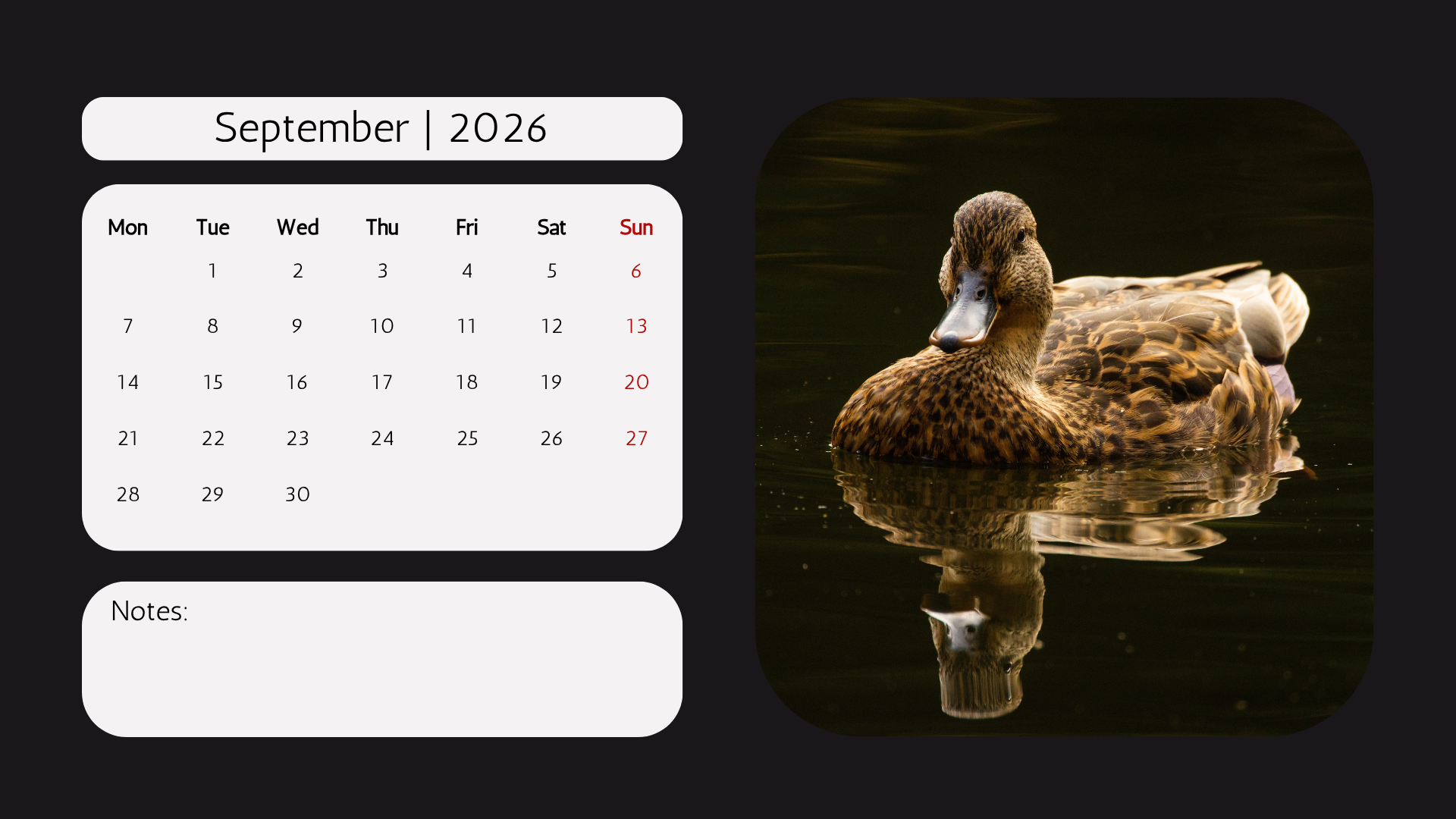 Edi WIldlife  2026 Calendar9.png