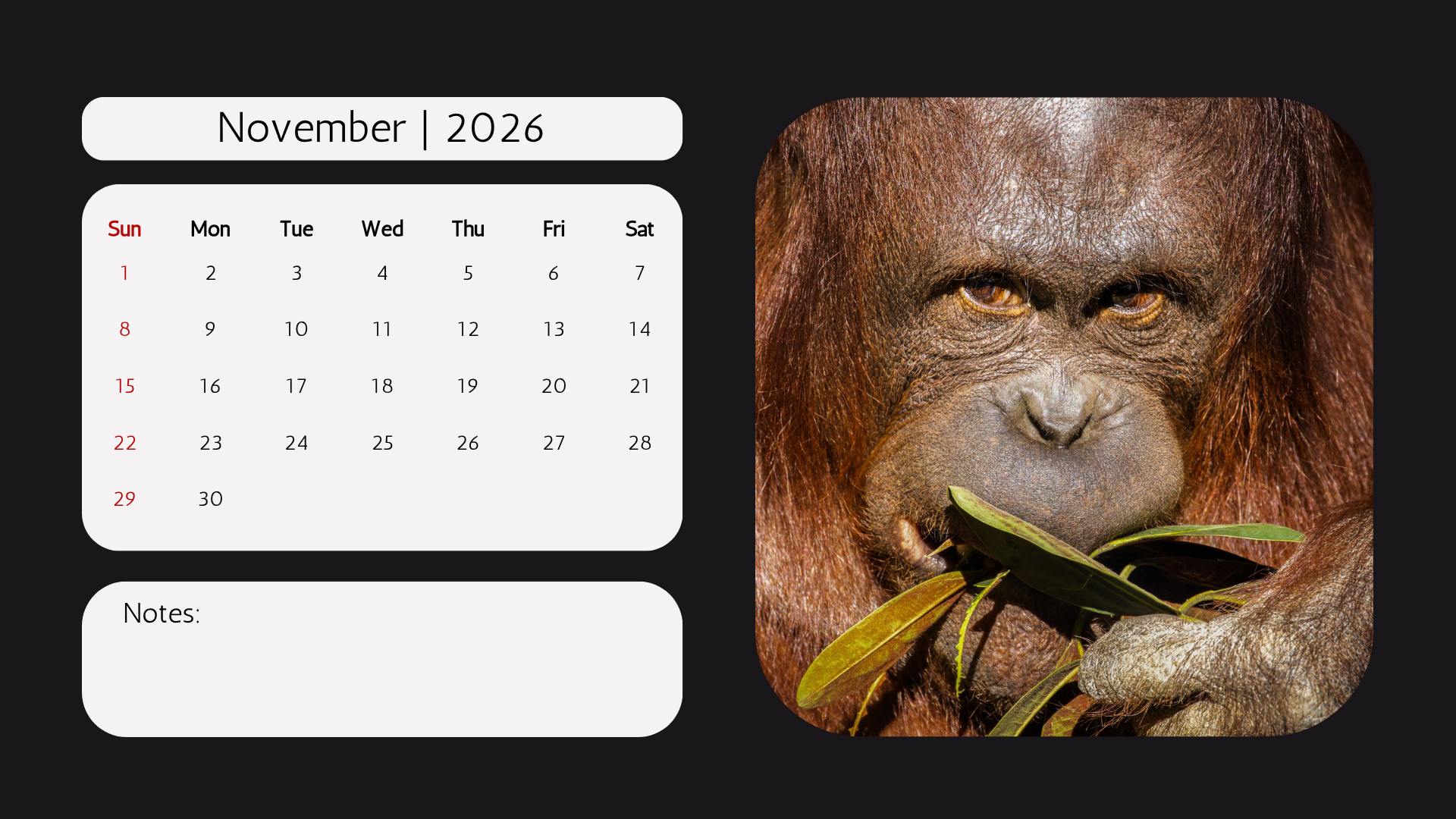 Edi WIldlife  2026 Calendar11.png