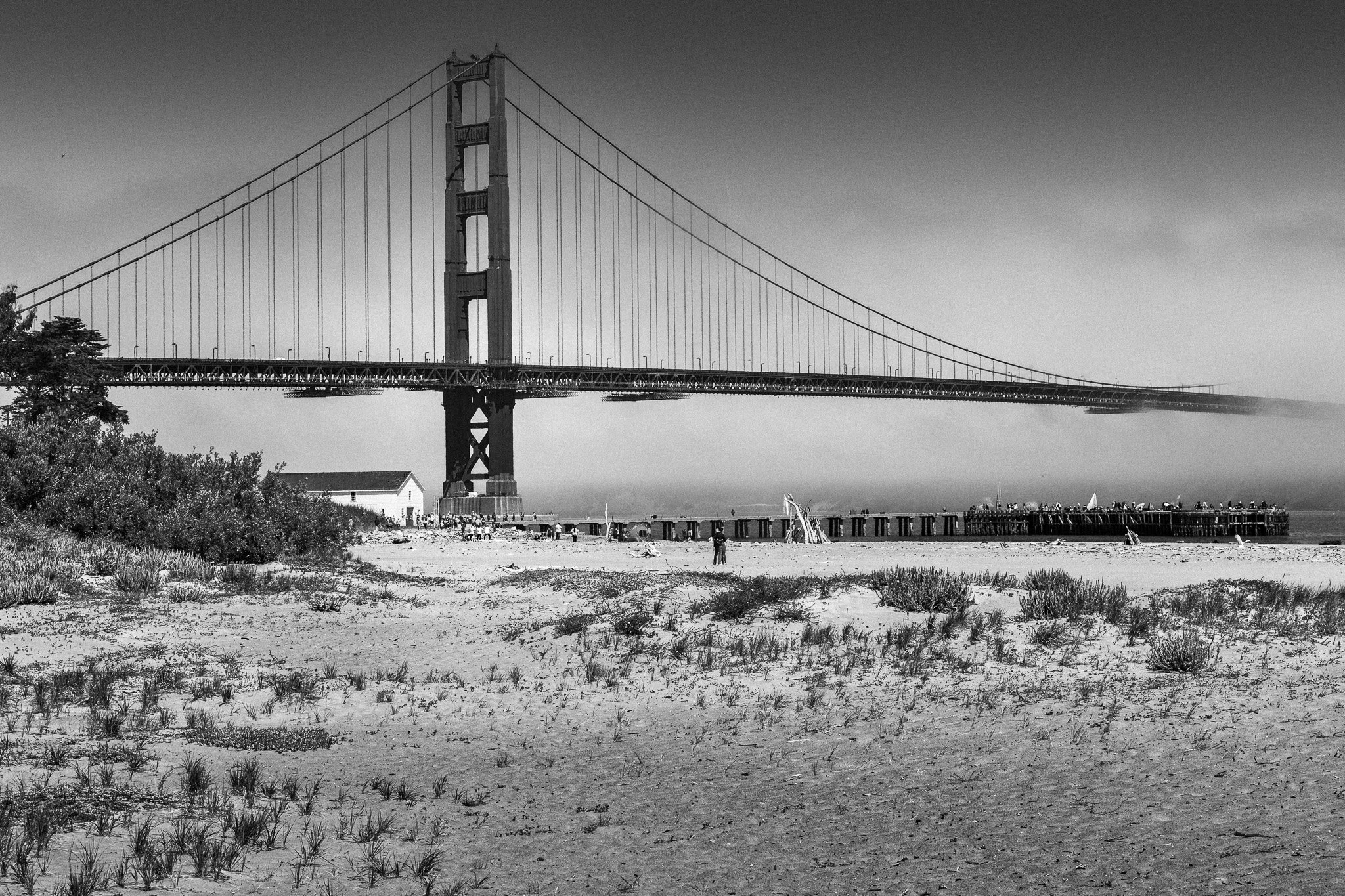 Foggy Golden Gate (San Francisco)