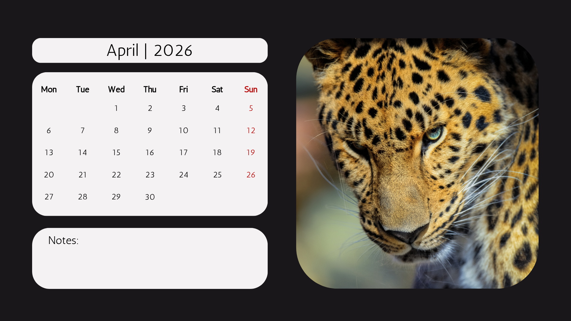 Edi WIldlife  2026 Calendar6.png