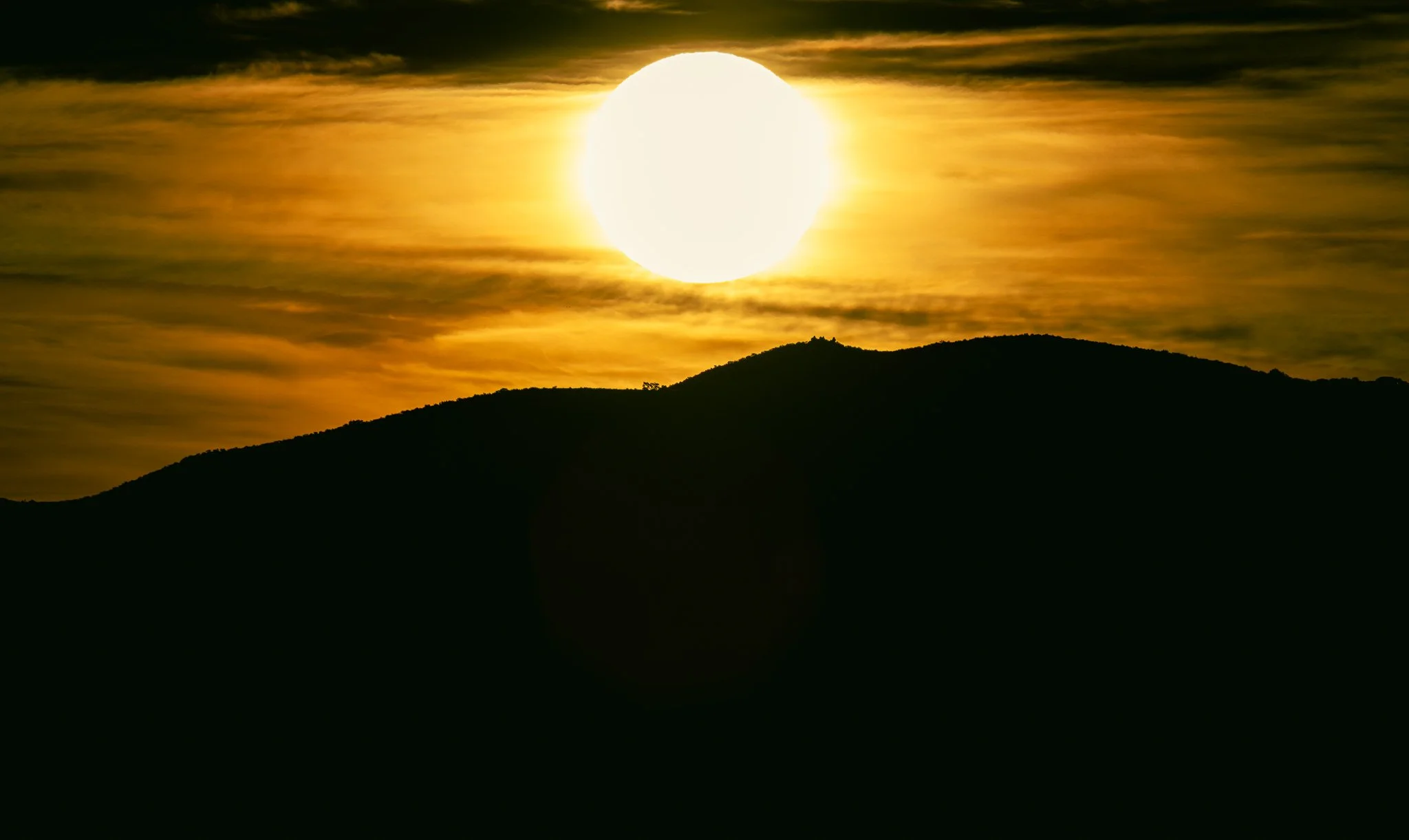 First Light at Swan Lake