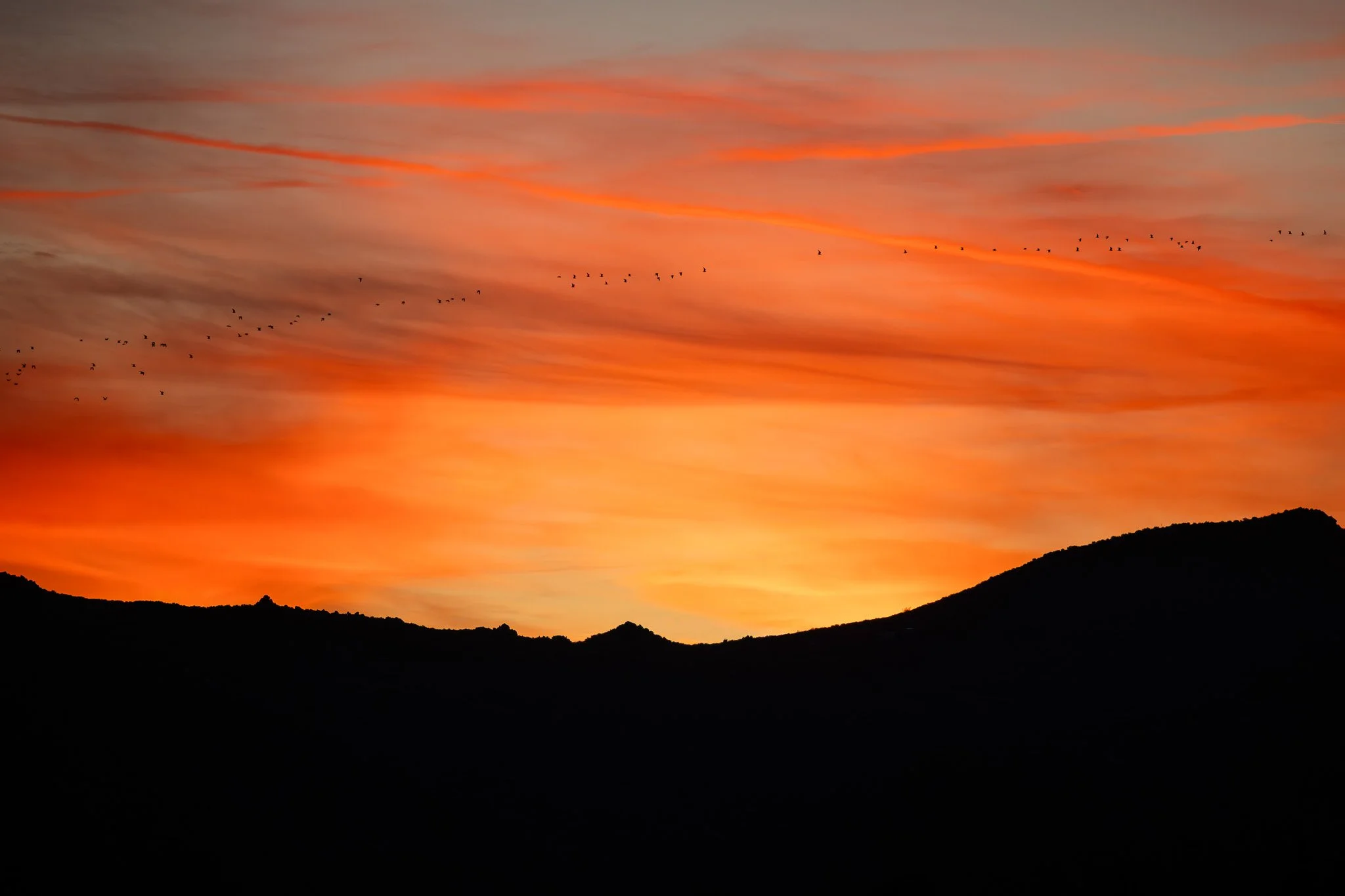 Sunrise at Swan Lake