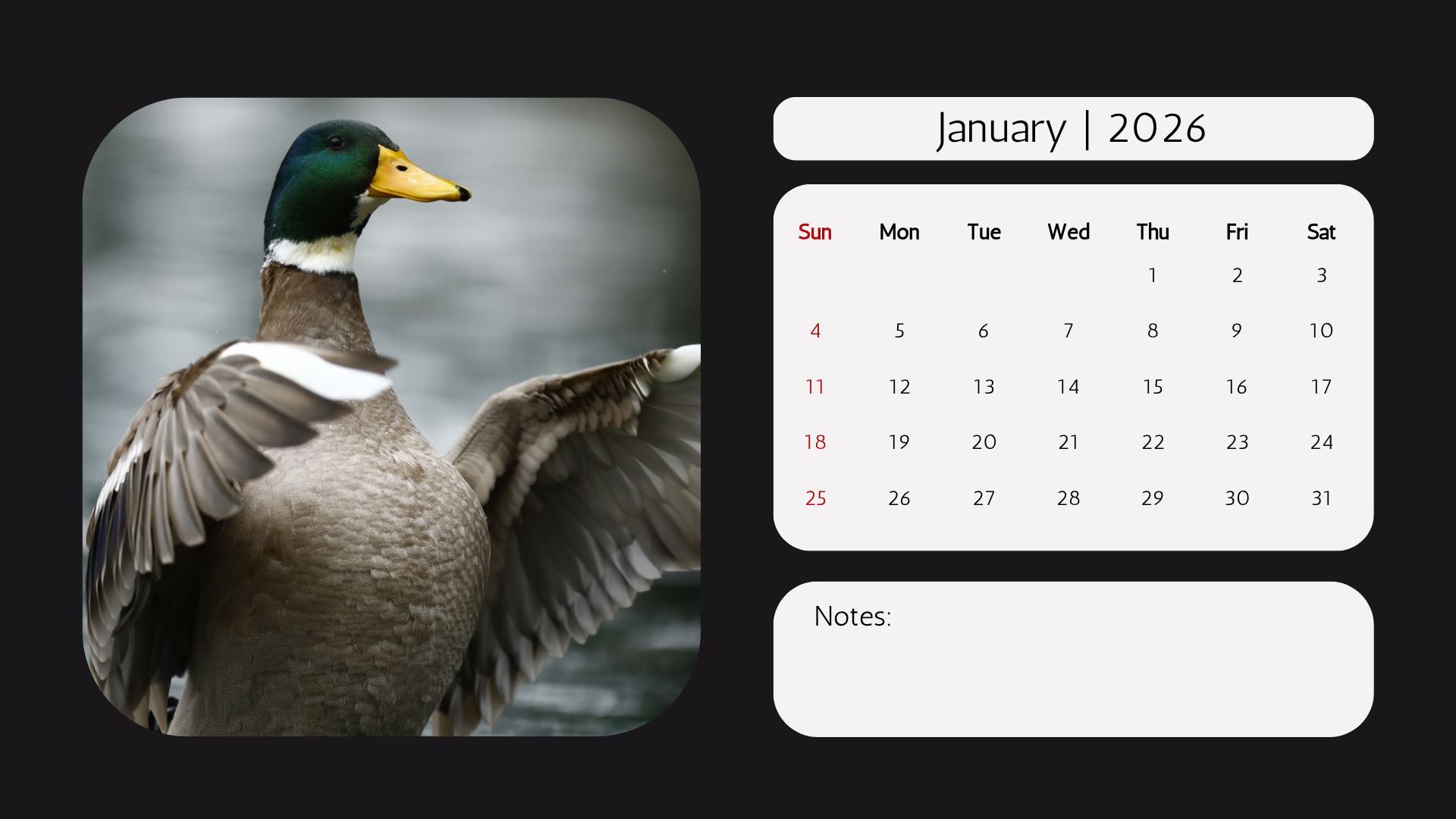 Edi WIldlife  2026 Calendar1.png