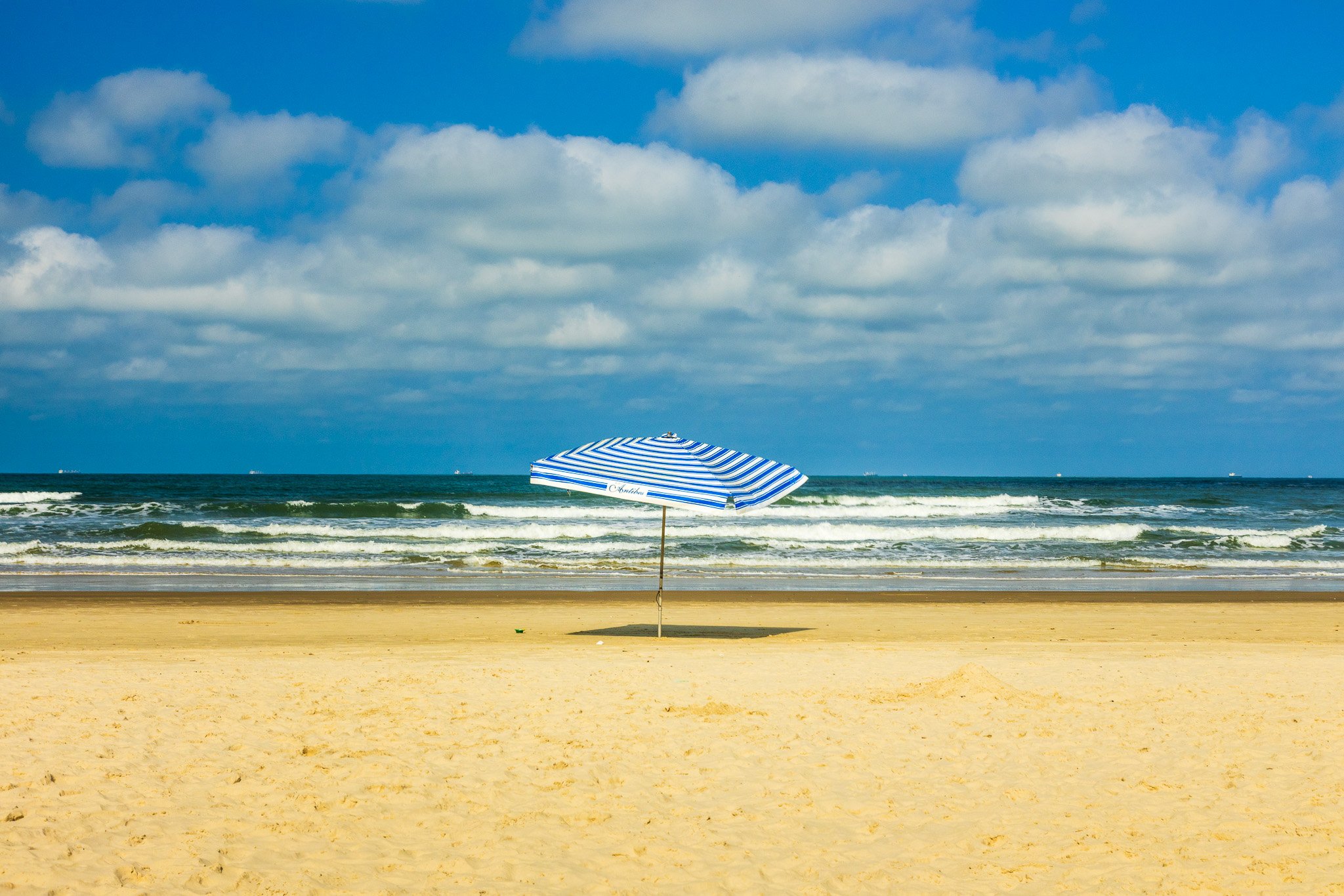 Solitary Shade (Santos, Brazil)