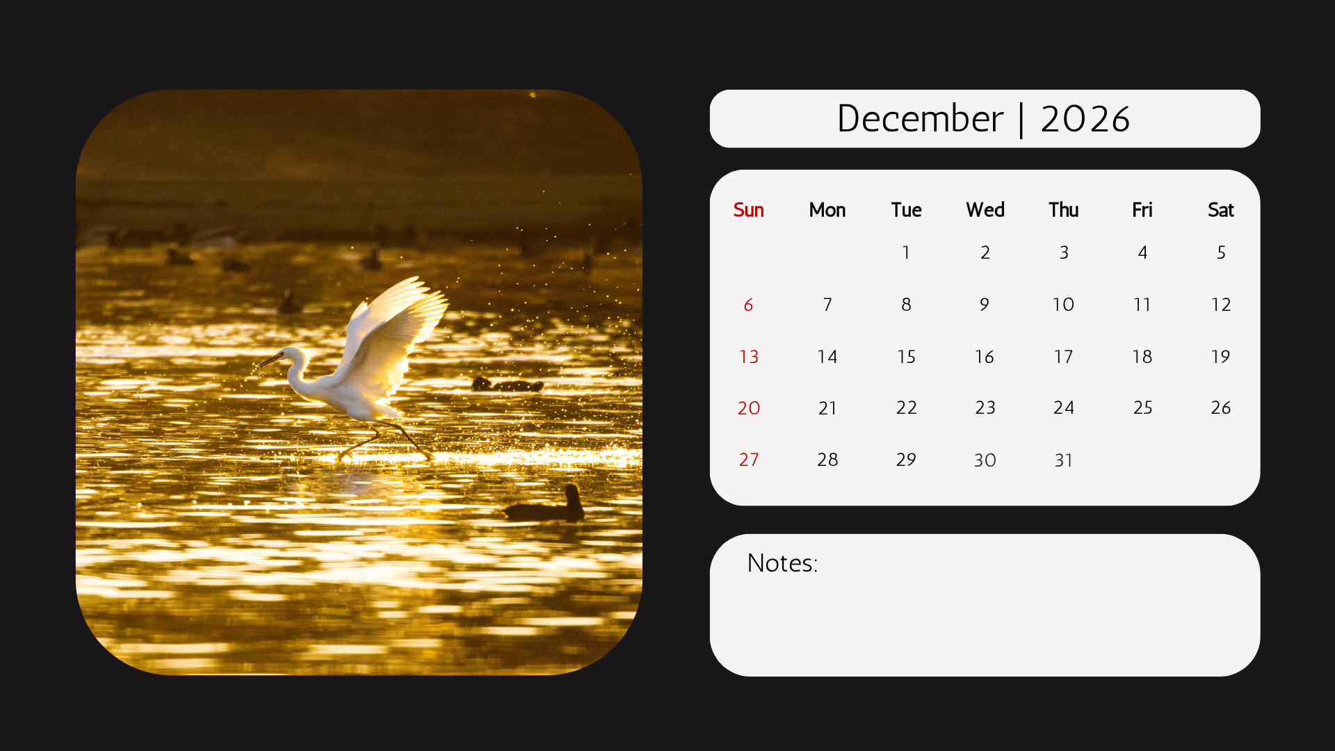 Edi WIldlife  2026 Calendar12.png